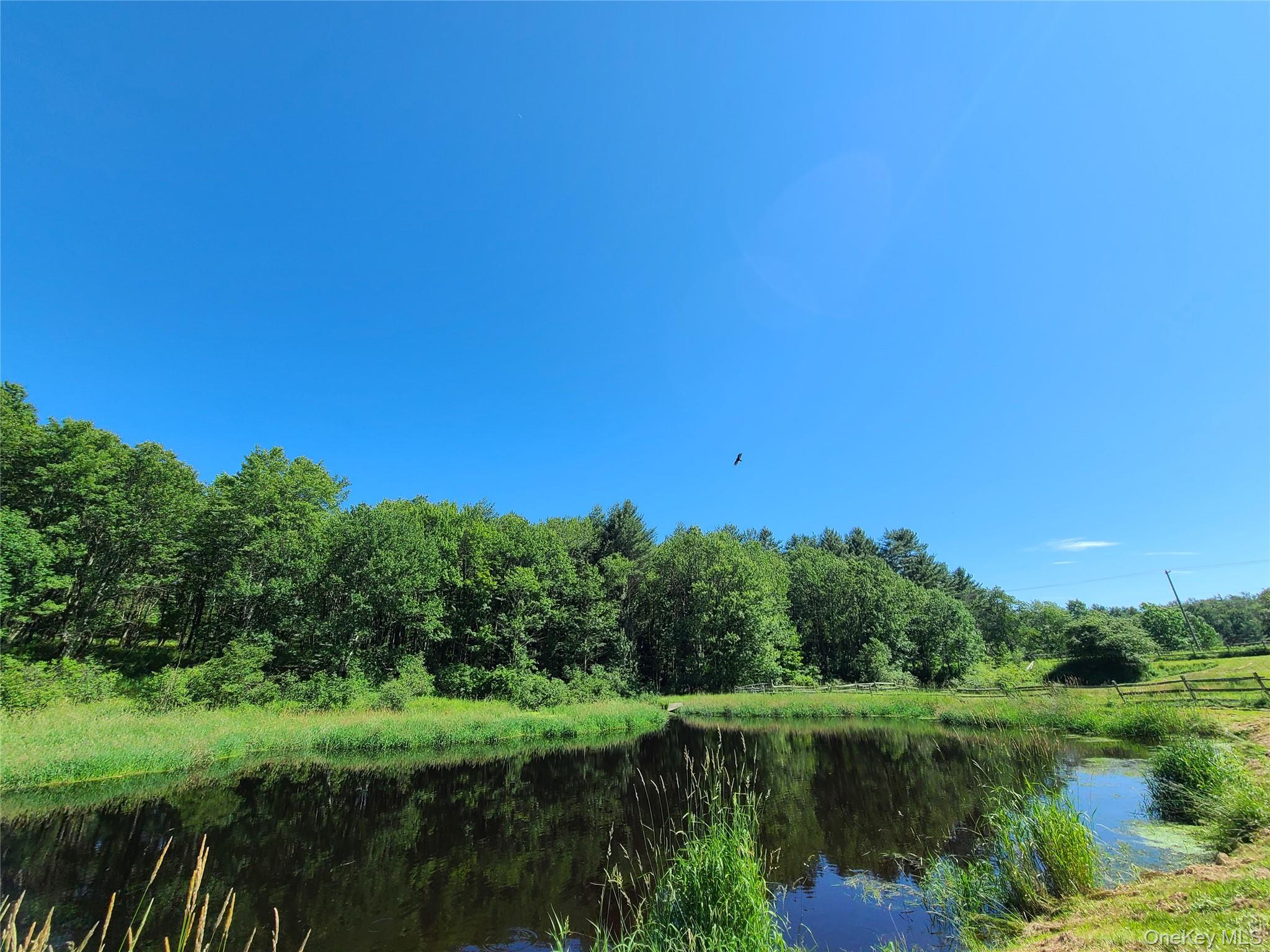 282 W Shore Road, Swan Lake, NY 12783