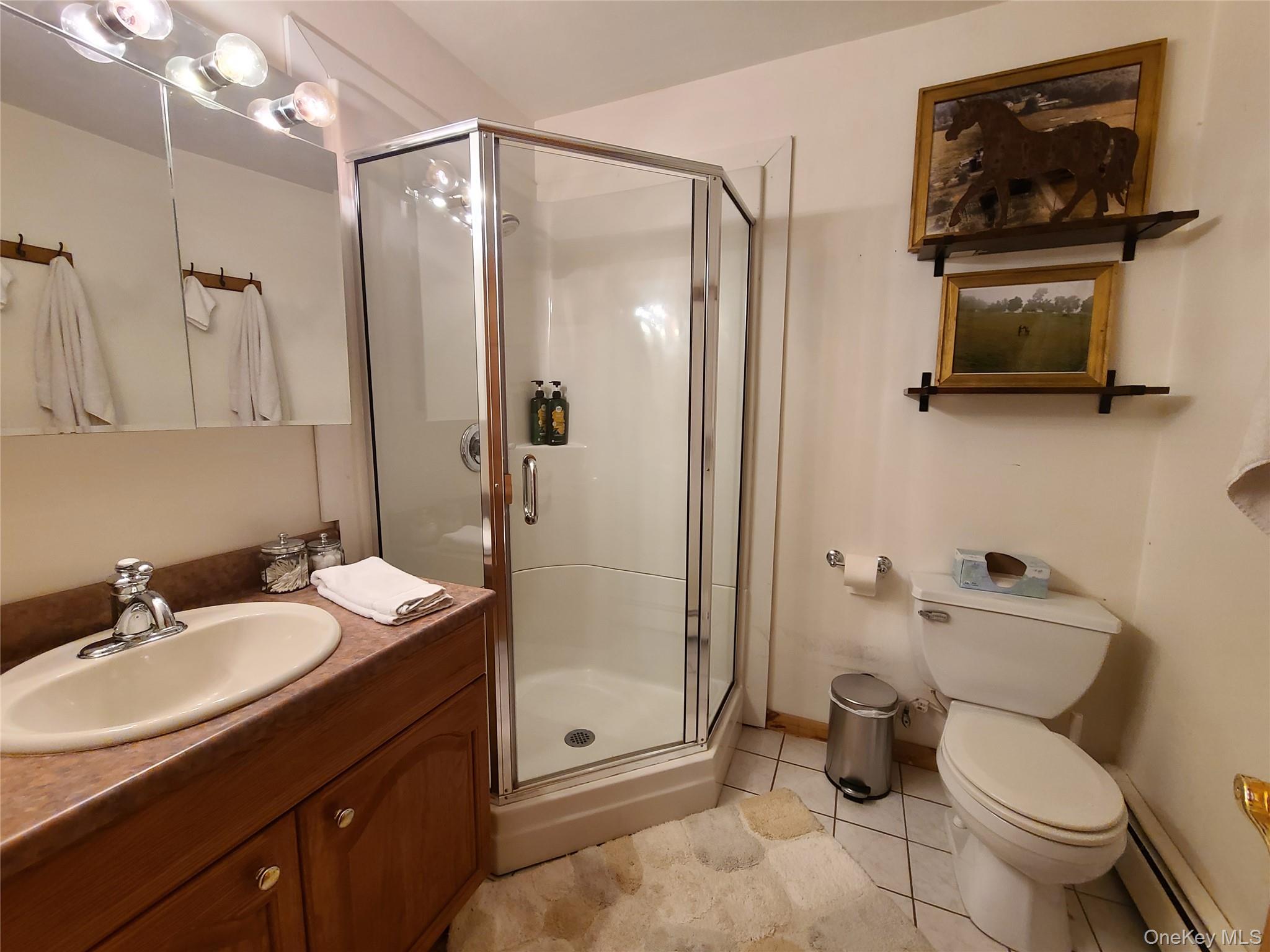 282 W Shore Road, Swan Lake, NY 12783