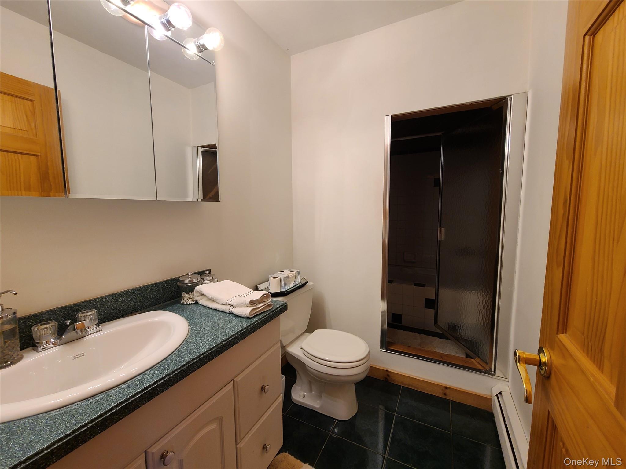 282 W Shore Road, Swan Lake, NY 12783