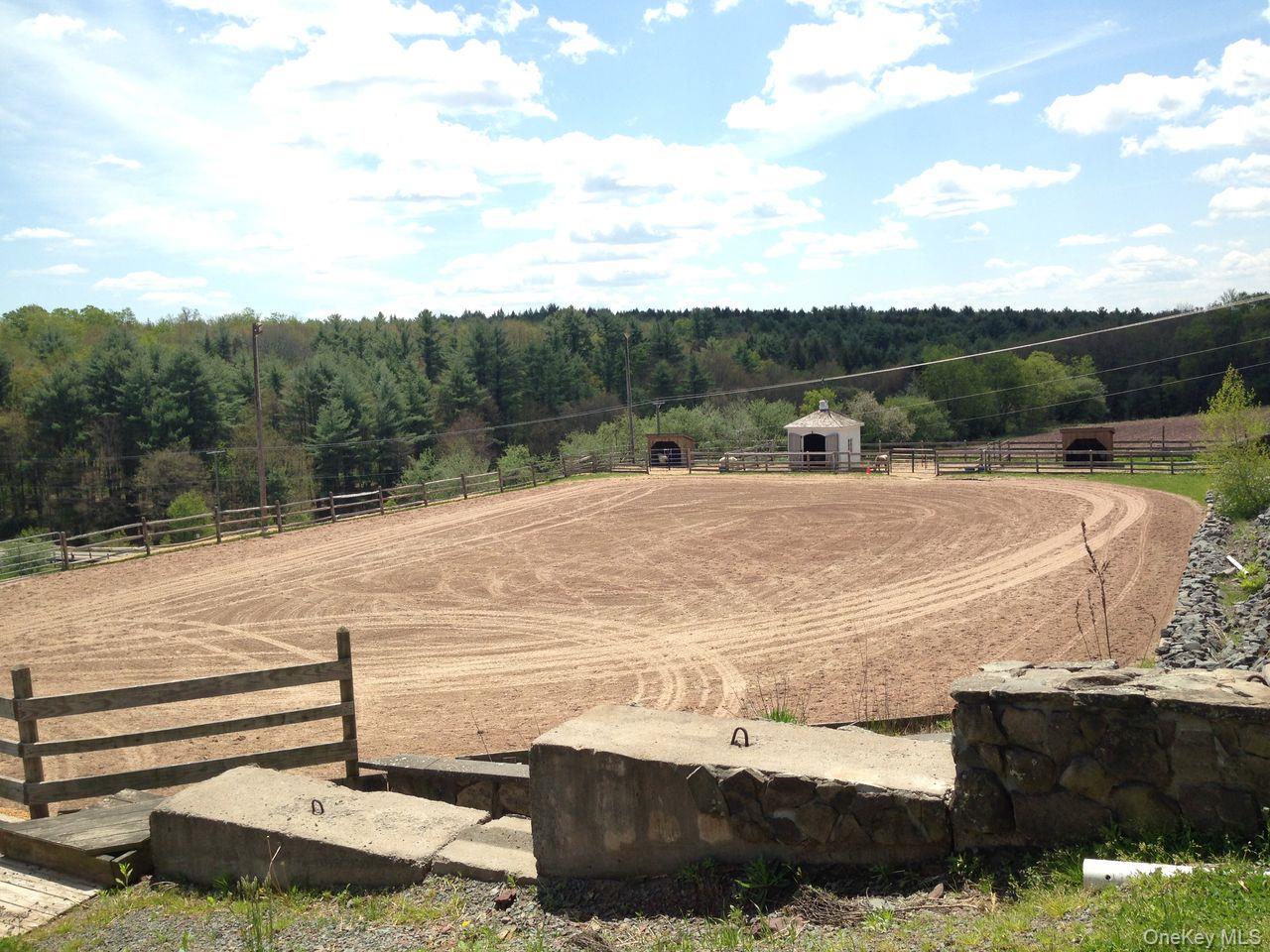 282 W Shore Road, Swan Lake, NY 12783