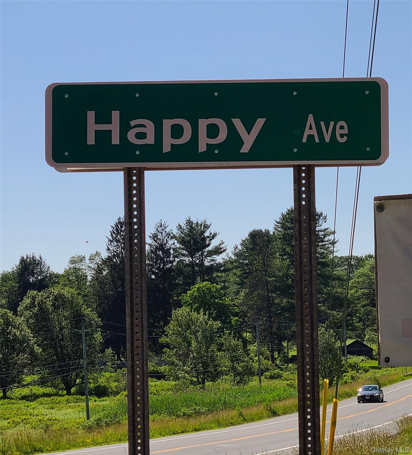 282 W Shore Road, Swan Lake, NY 12783