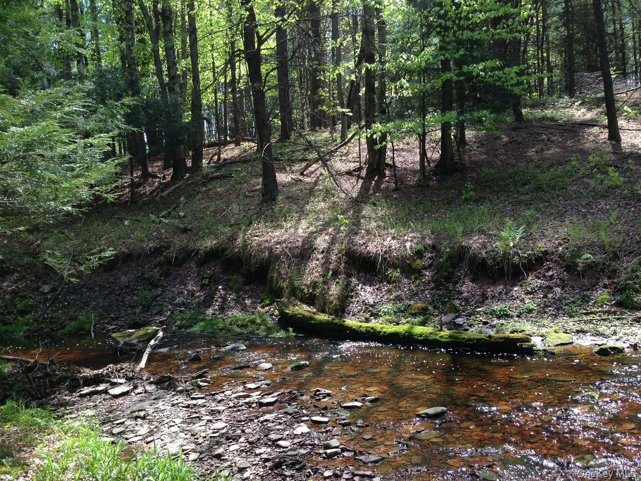 282 W Shore Road, Swan Lake, NY 12783