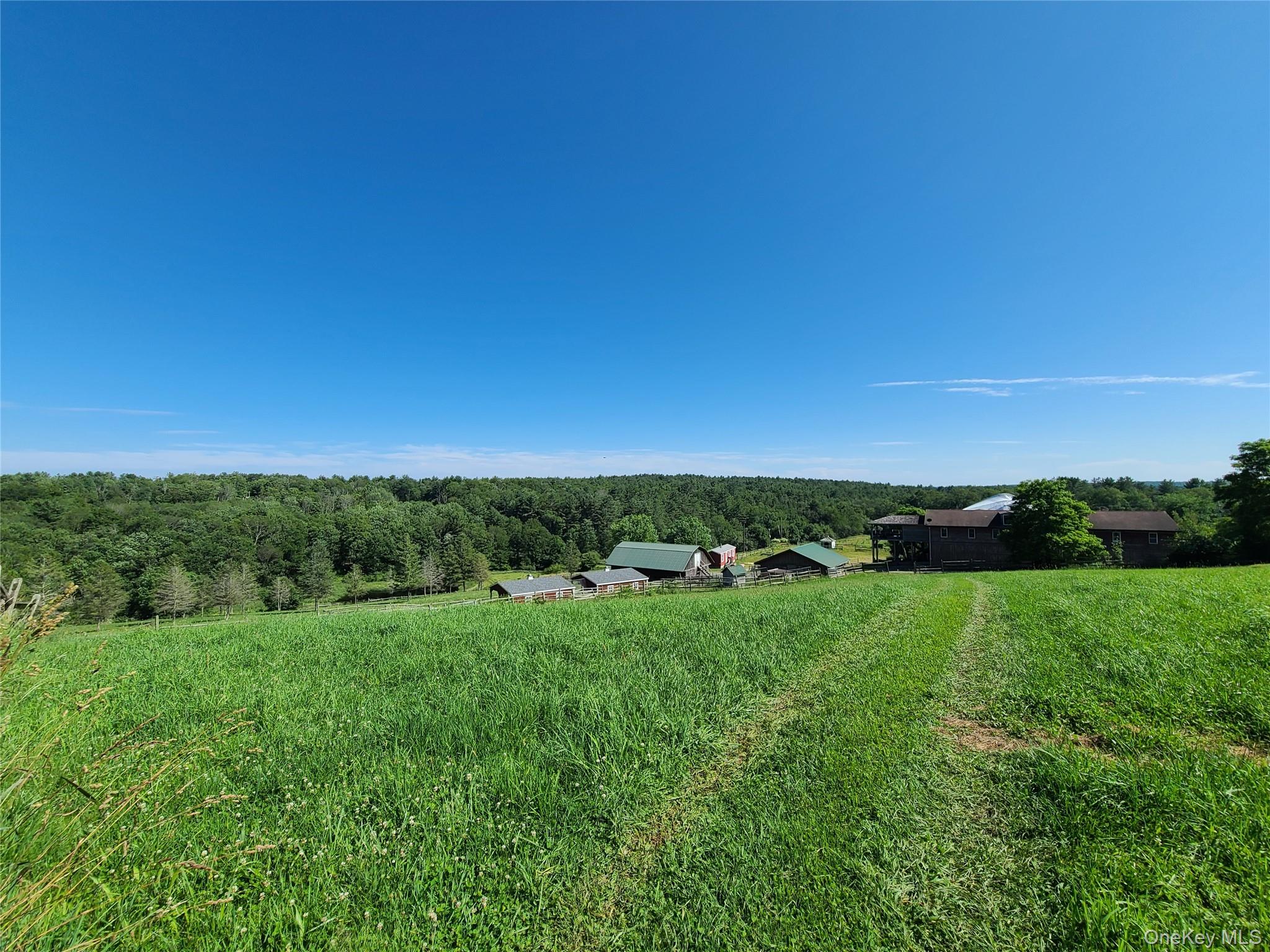 282 W Shore Road, Swan Lake, NY 12783