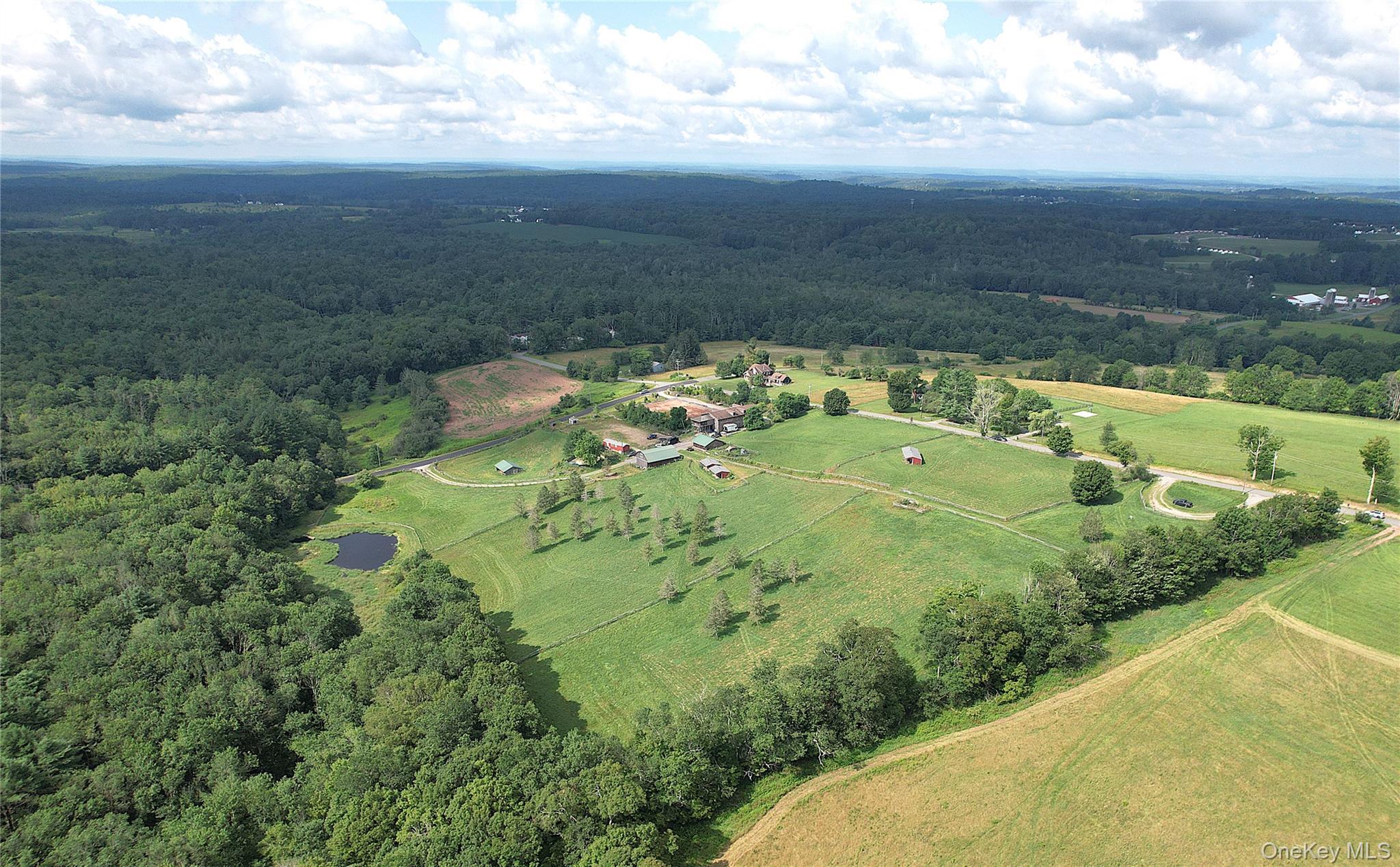 282 W Shore Road, Swan Lake, NY 12783