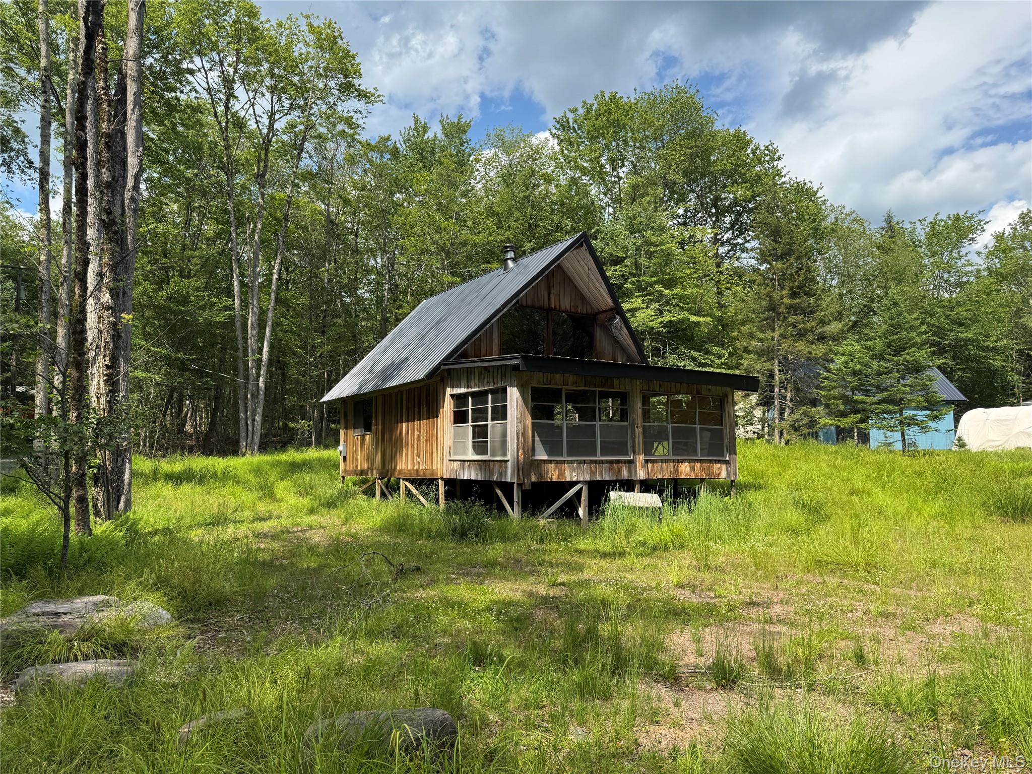 2 W Forest Lane, Parksville, NY 12768