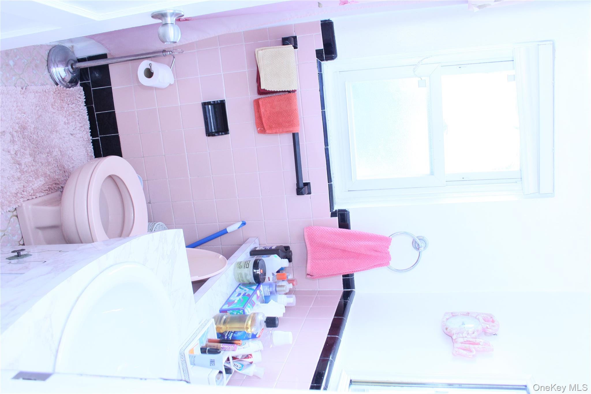 24 Garnet Place, Elmont, NY 11003