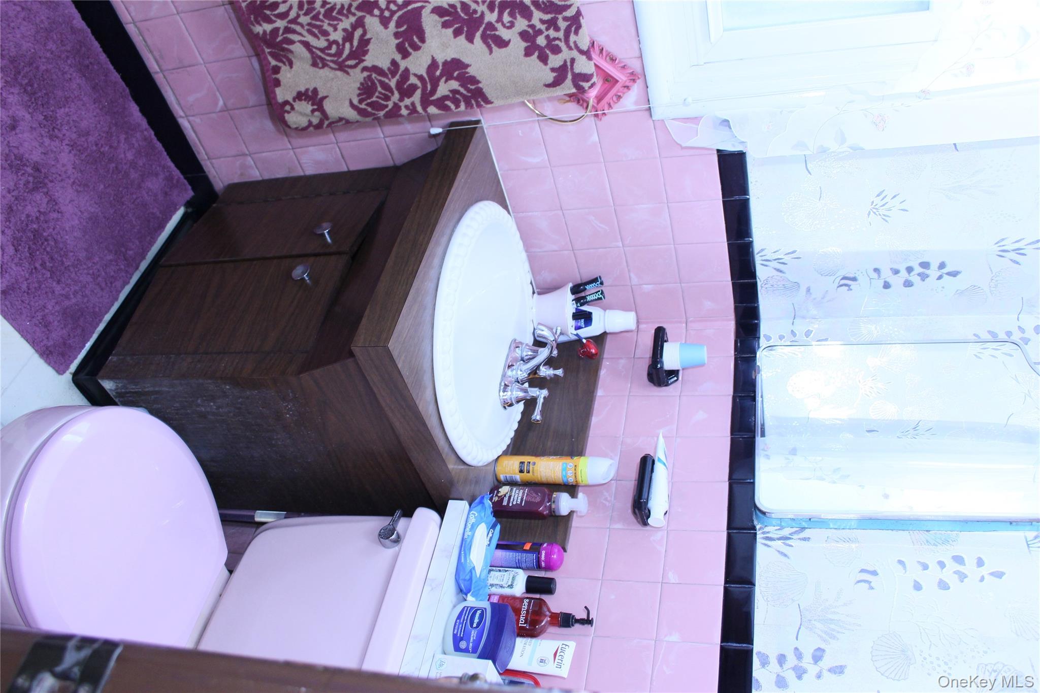 24 Garnet Place, Elmont, NY 11003