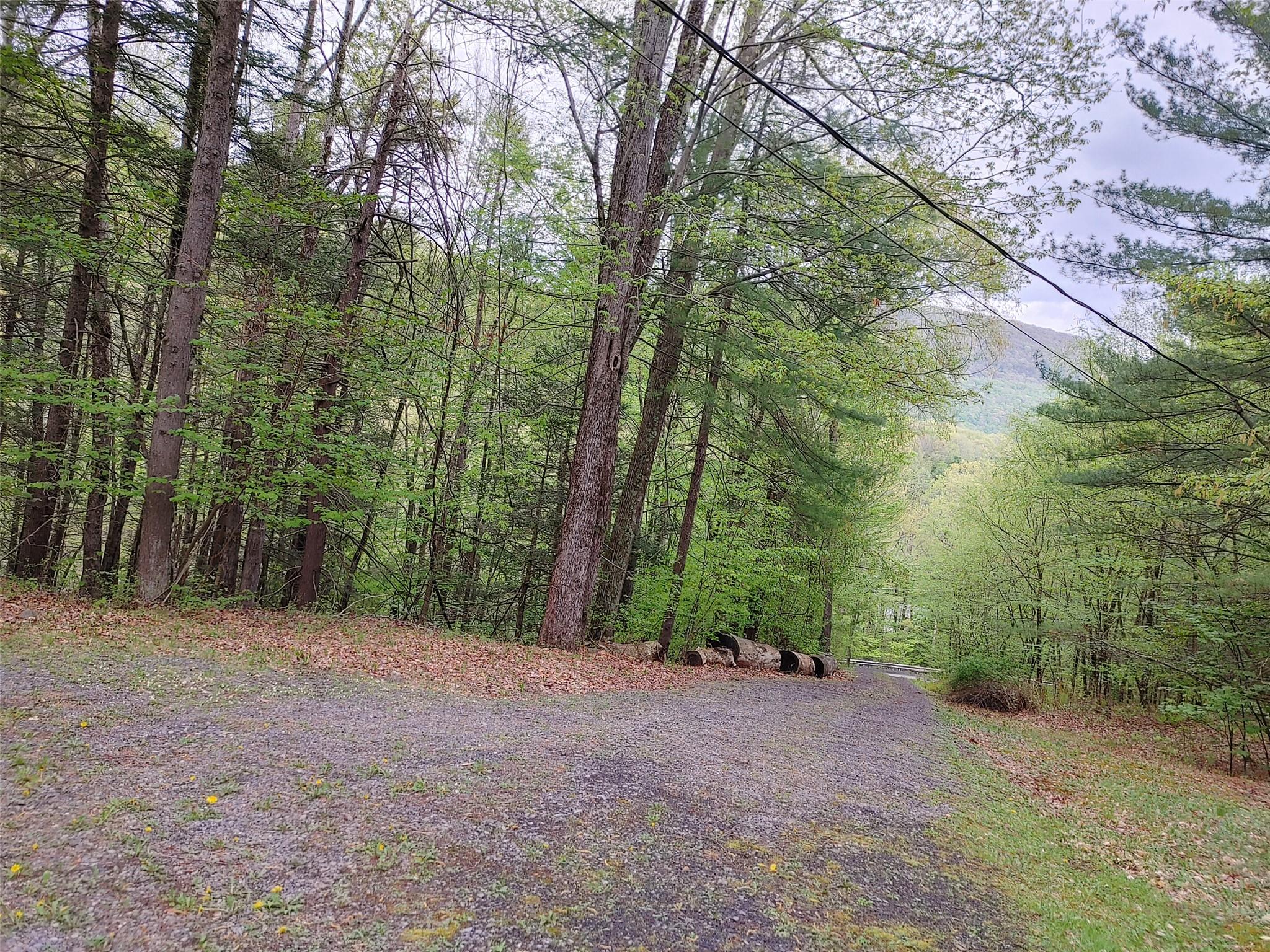 249 High Street, Phoenicia, NY 12464