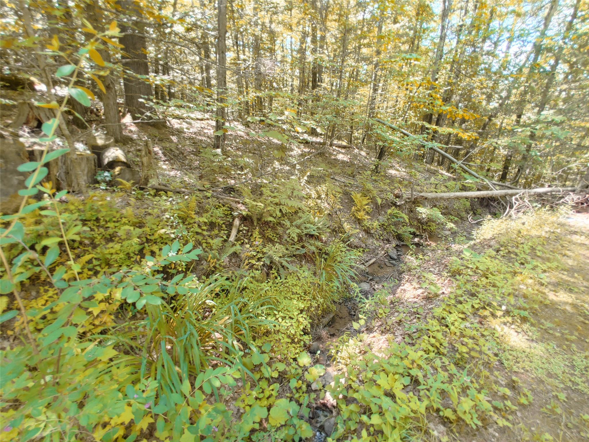 249 High Street, Phoenicia, NY 12464