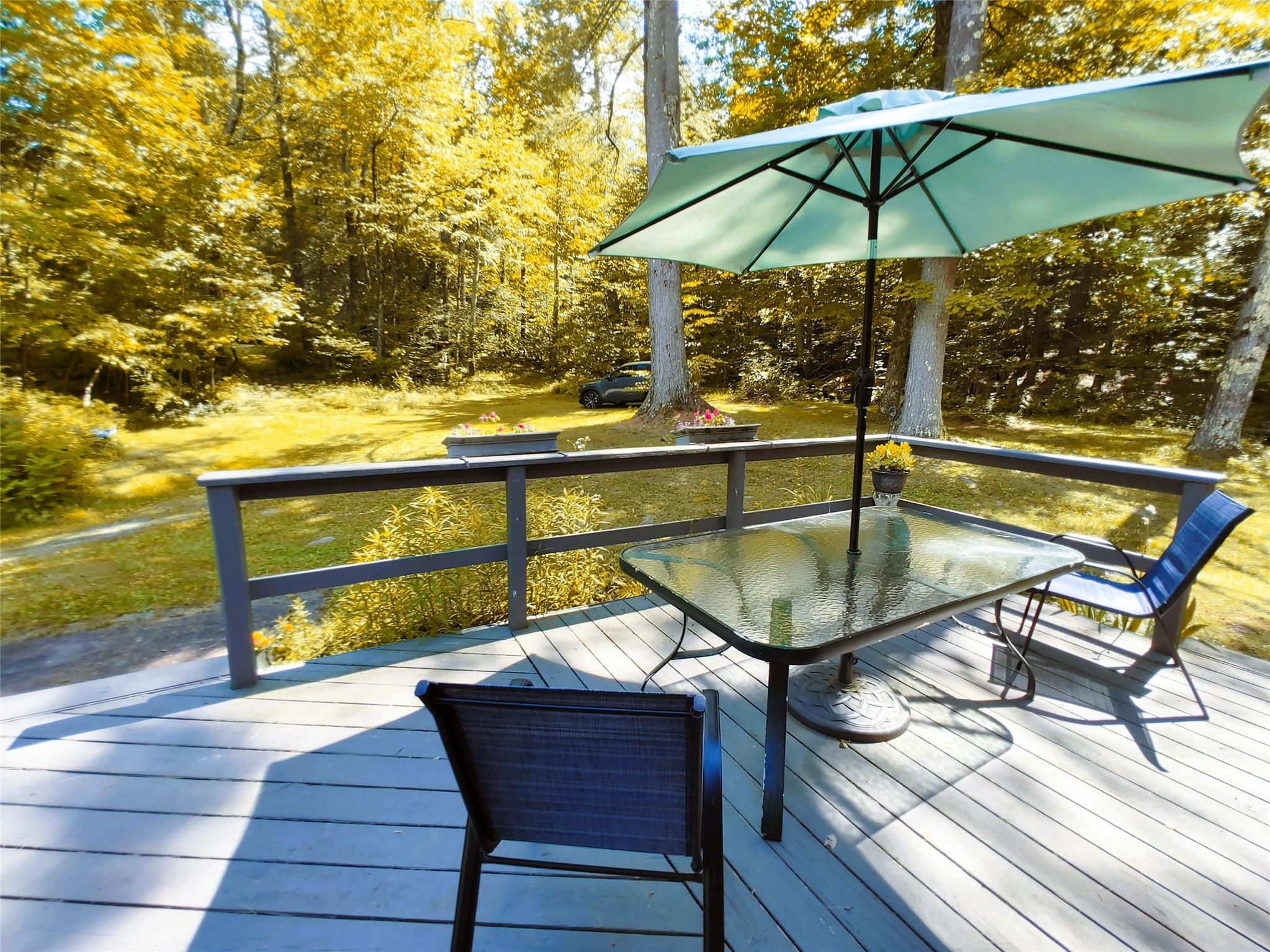 249 High Street, Phoenicia, NY 12464