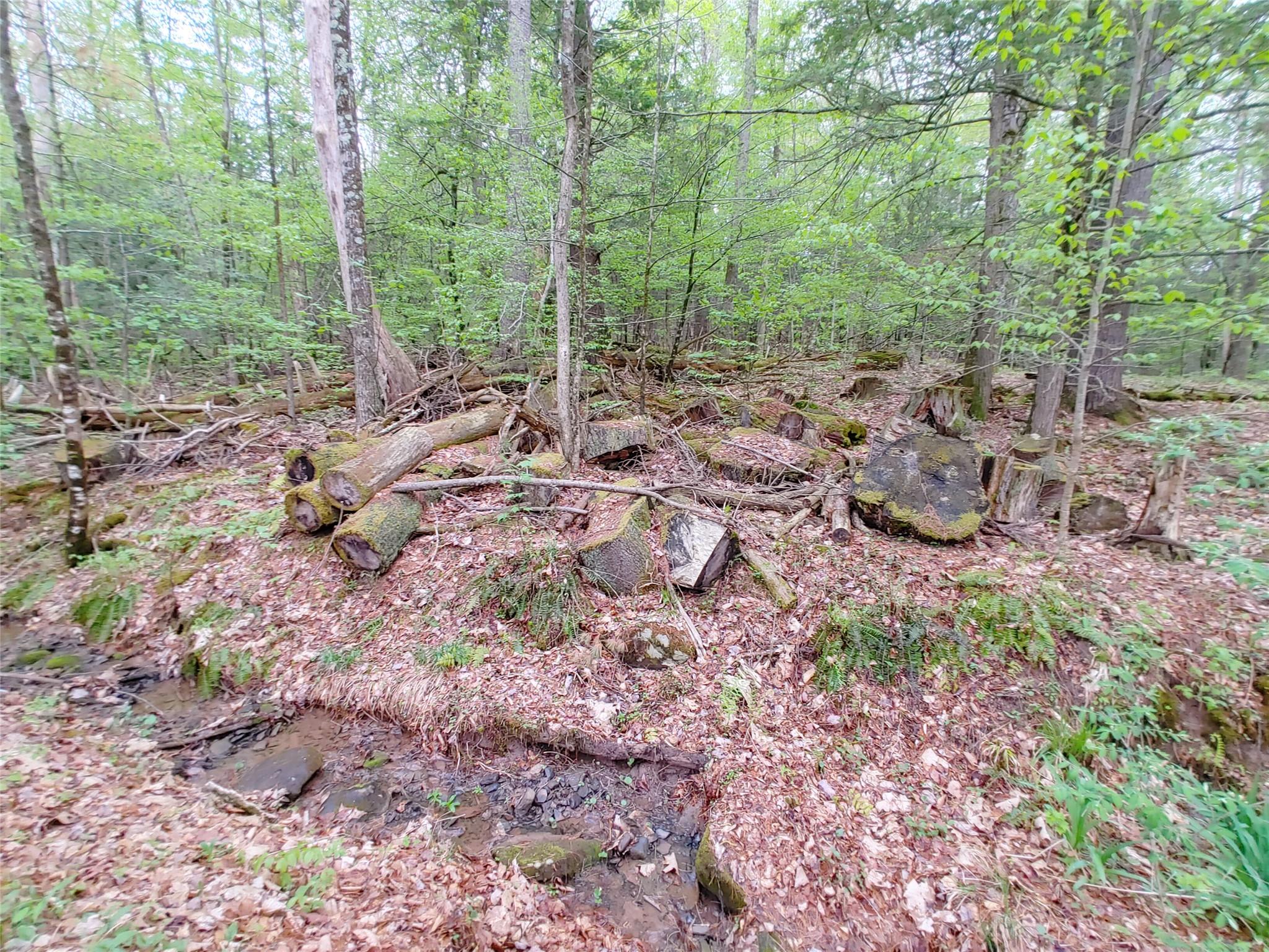 249 High Street, Phoenicia, NY 12464