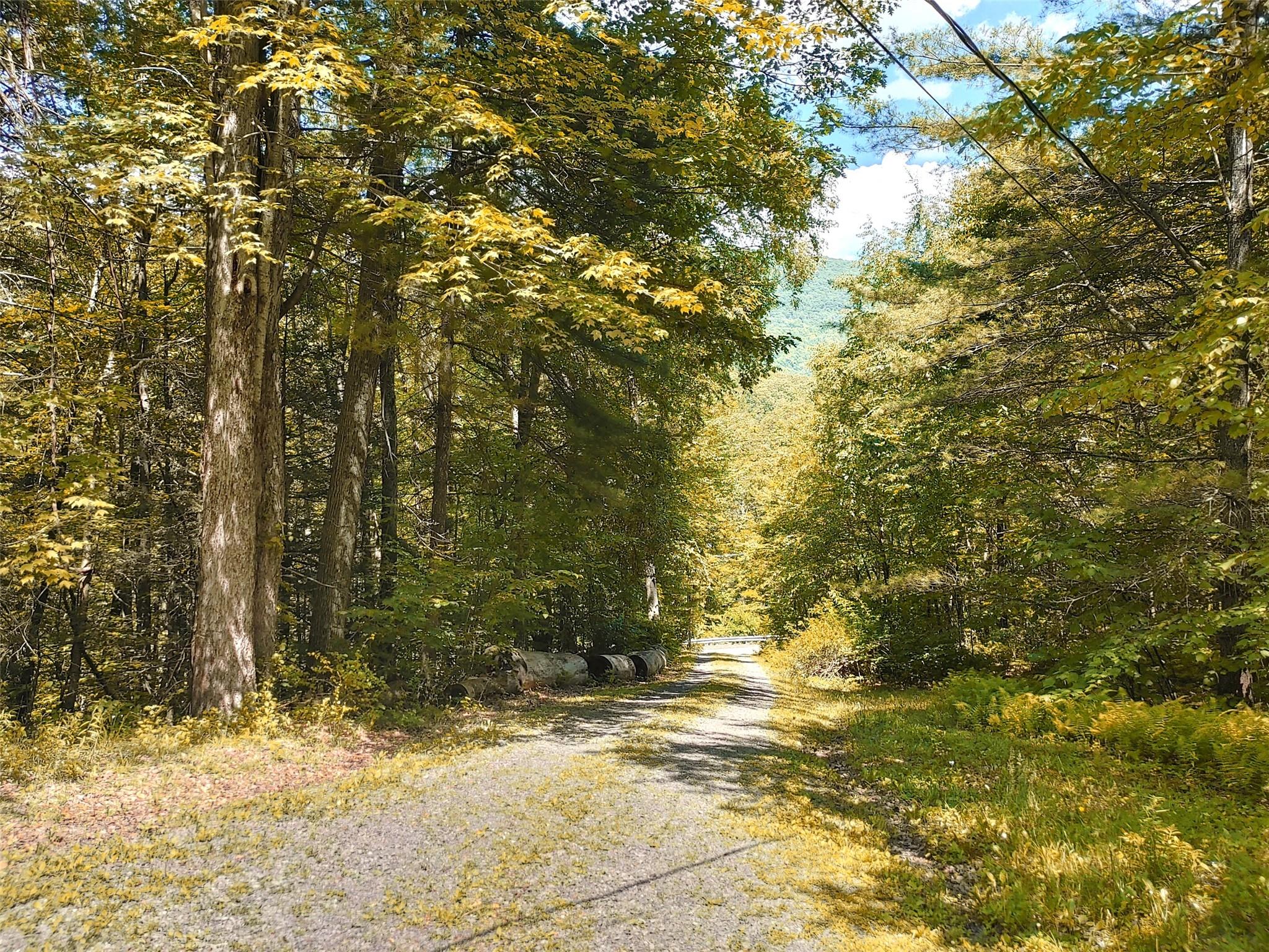 249 High Street, Phoenicia, NY 12464