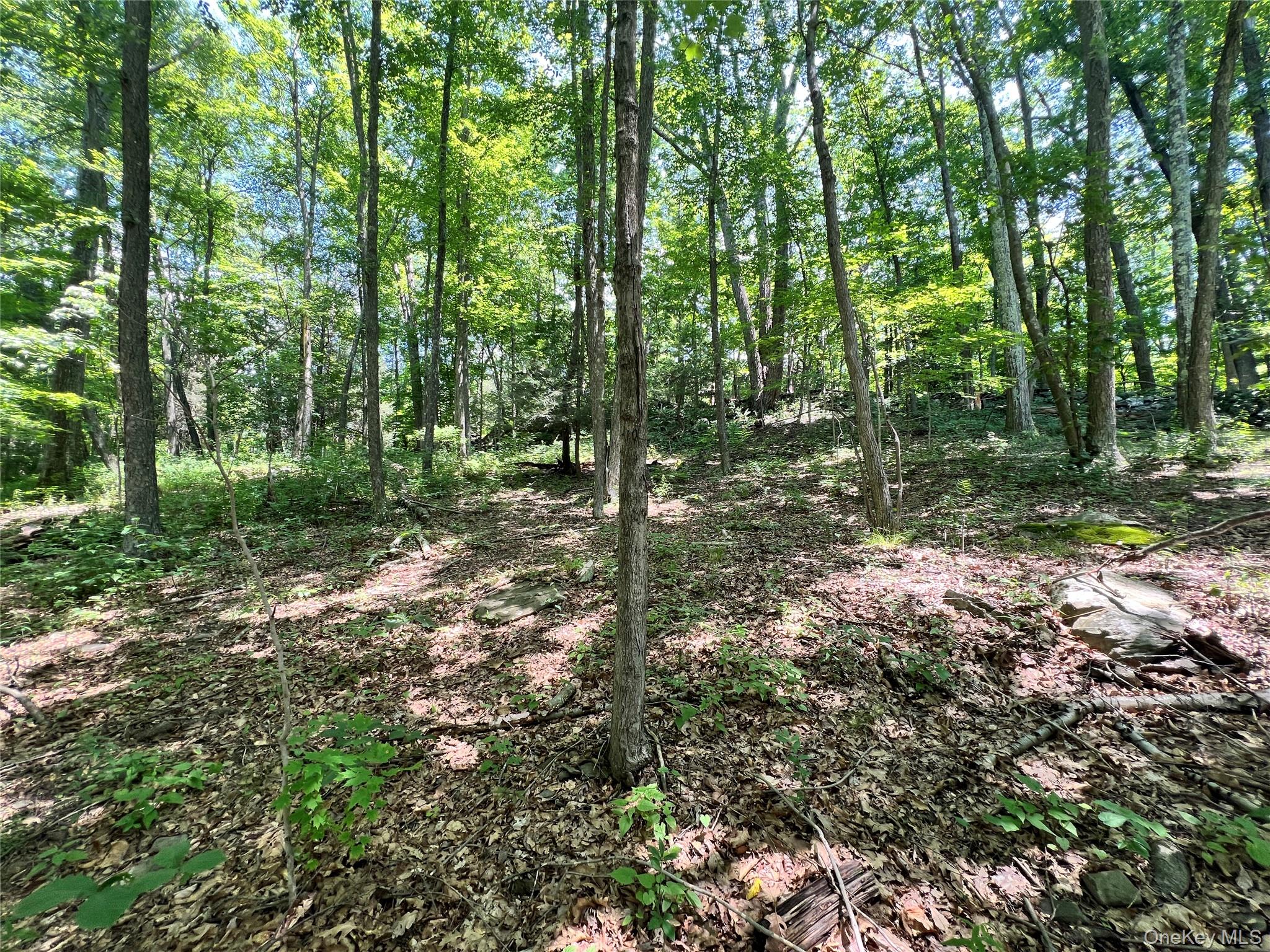 17 Vanessa Lane, Staatsburg, NY 12580