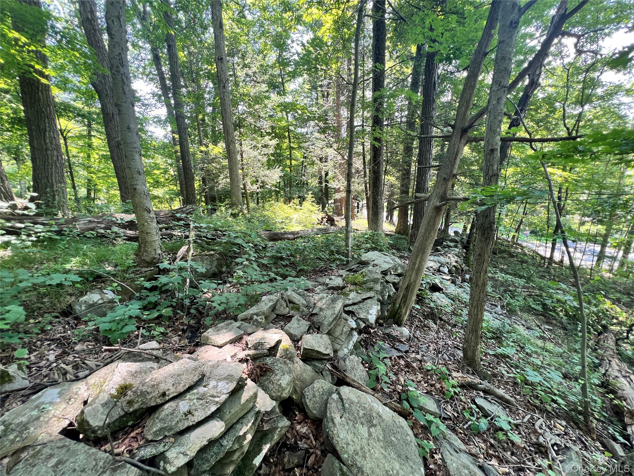 17 Vanessa Lane, Staatsburg, NY 12580