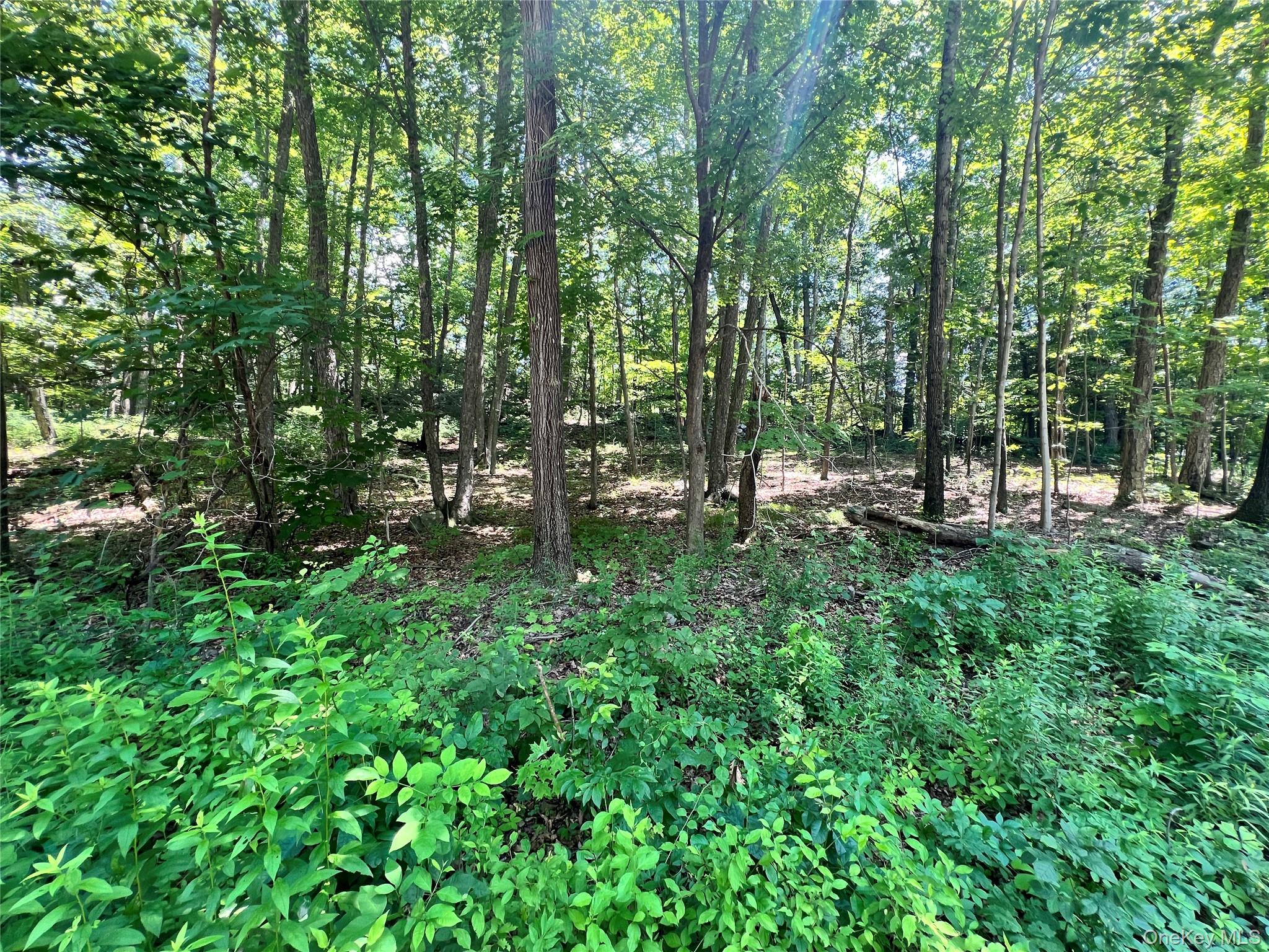 17 Vanessa Lane, Staatsburg, NY 12580