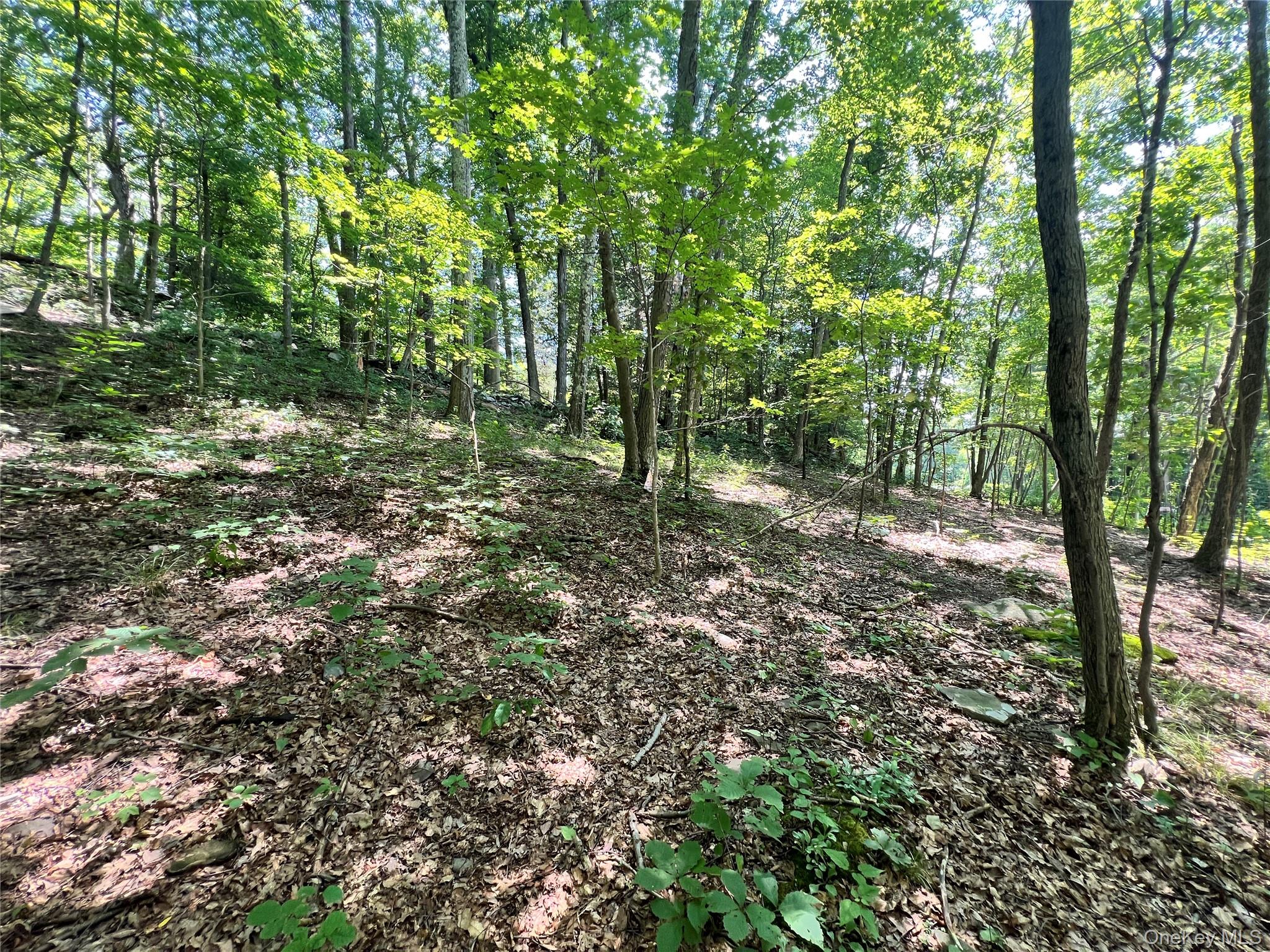 17 Vanessa Lane, Staatsburg, NY 12580