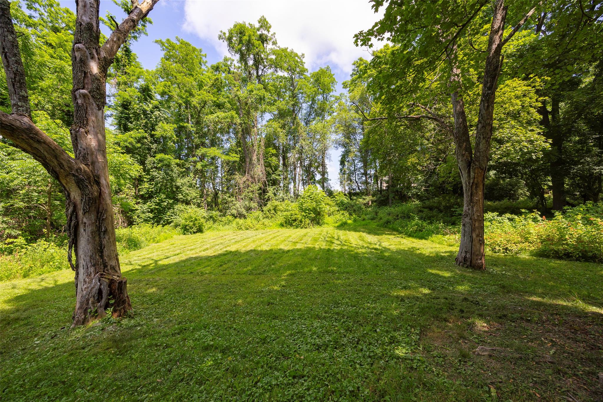 15 Johnson Lane, Millbrook, NY 12545