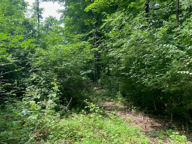 24 Devito Drive, Newburgh, NY 12550