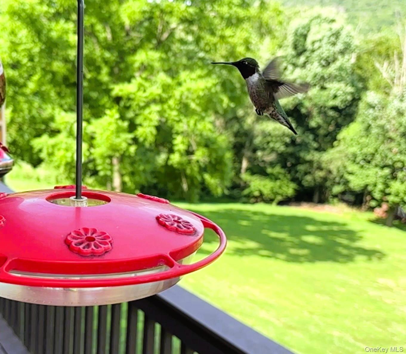 207 E Hook Road, Hopewell Junction, NY 12533