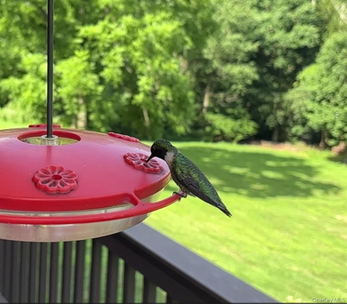 207 E Hook Road, Hopewell Junction, NY 12533