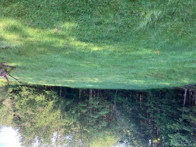 28 Cooley Mountain Road, Parksville, NY 12768