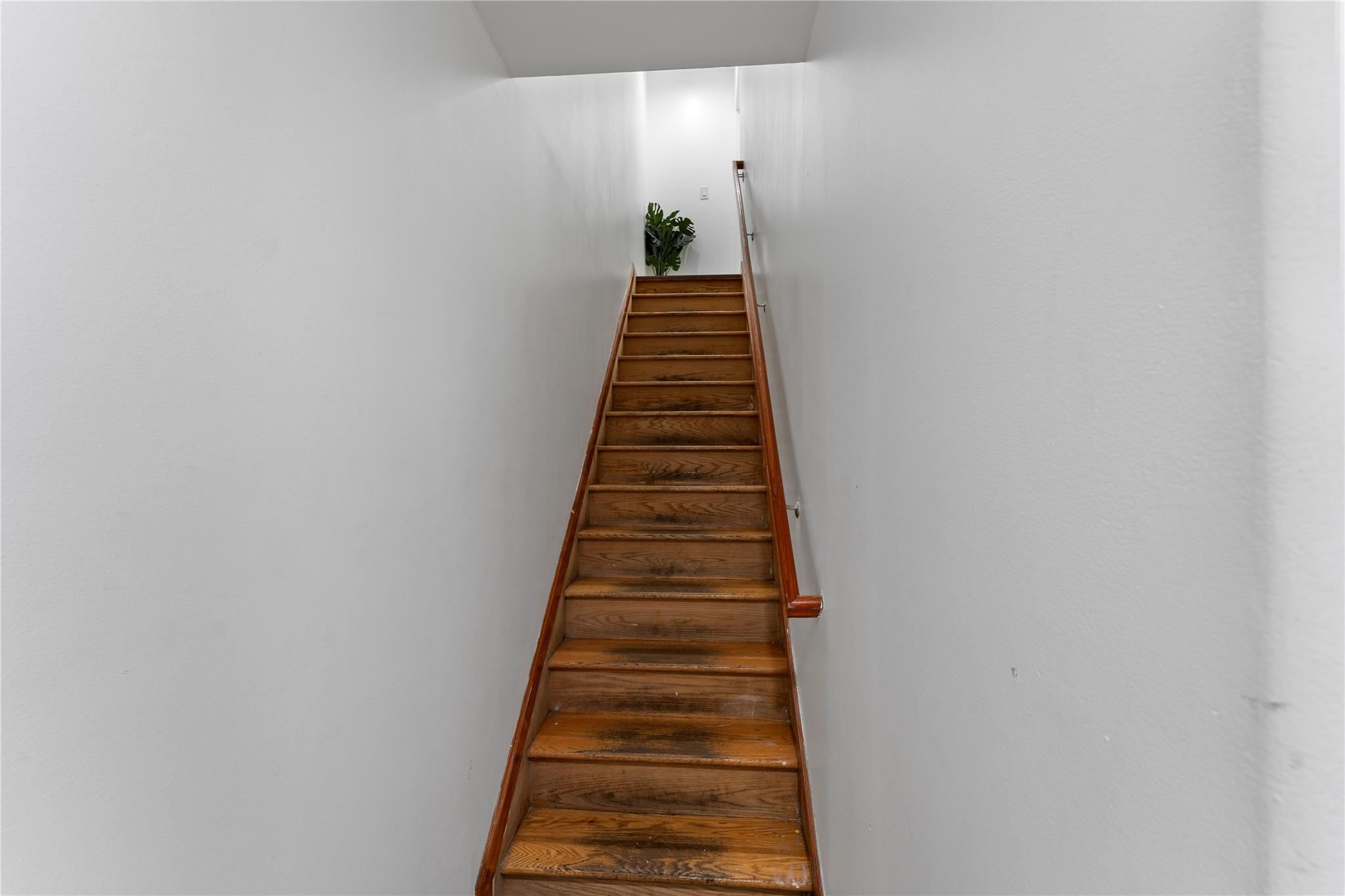 848 Morris Park Avenue, Bronx, NY 10462