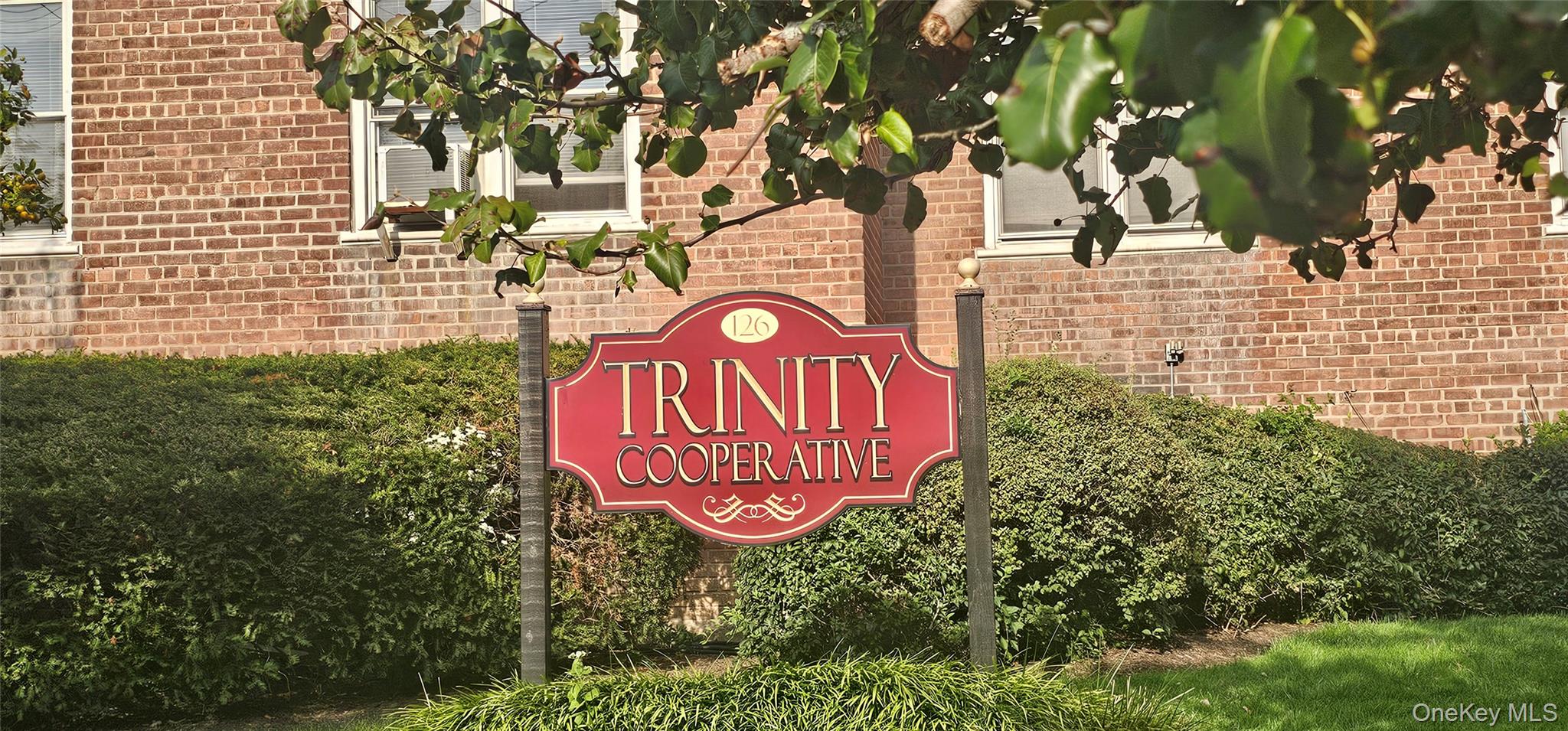 126 Church Street # 2D, New Rochelle, NY 10805