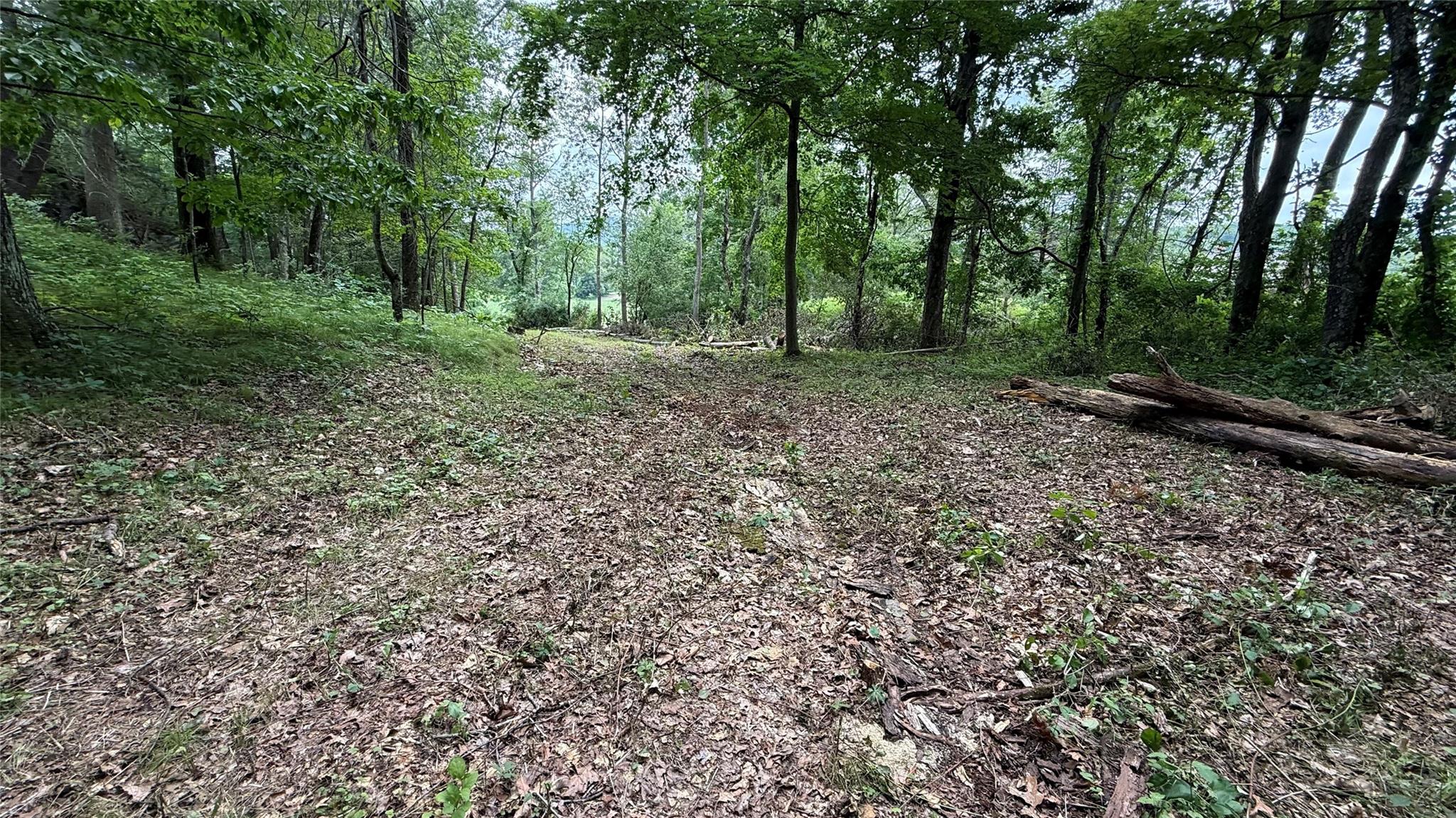 66 Ryan Road, Pine Plains, NY 12567