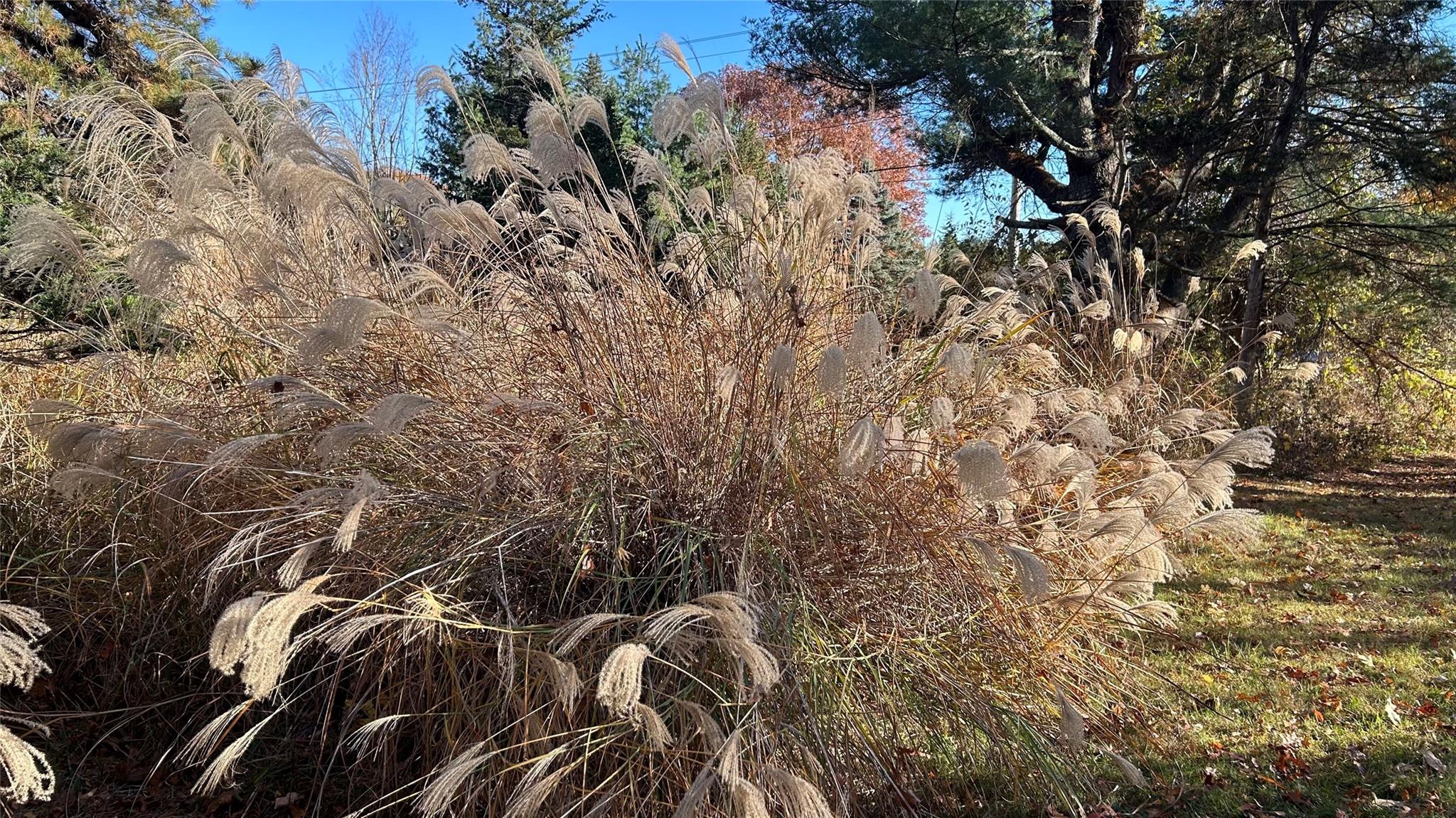 66 Ryan Road, Pine Plains, NY 12567