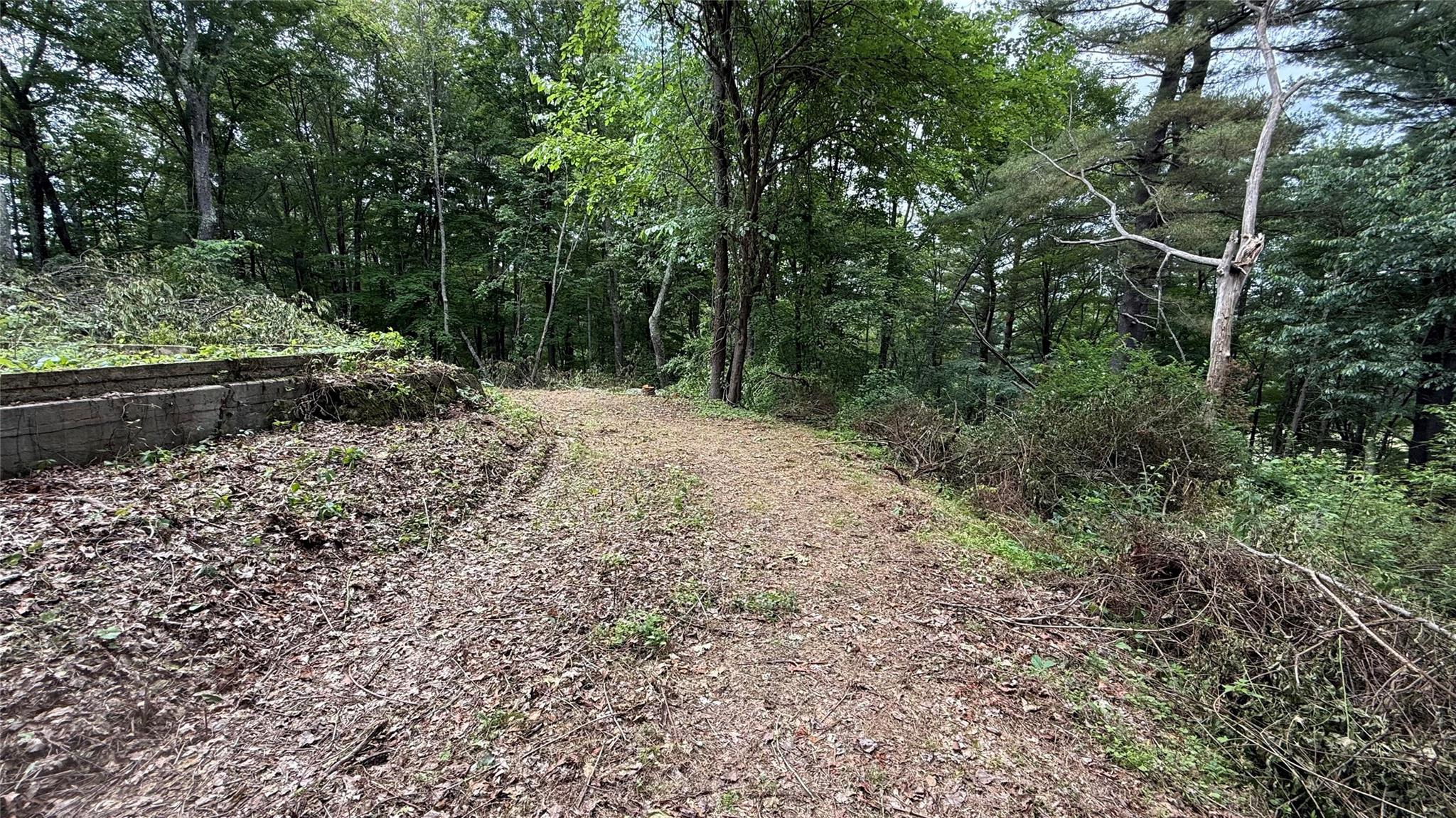 66 Ryan Road, Pine Plains, NY 12567