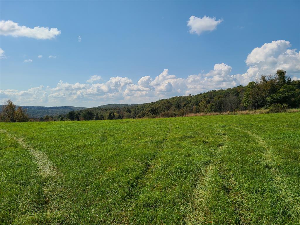 Lot 7 Long Farm Way, Callicoon, NY 12723