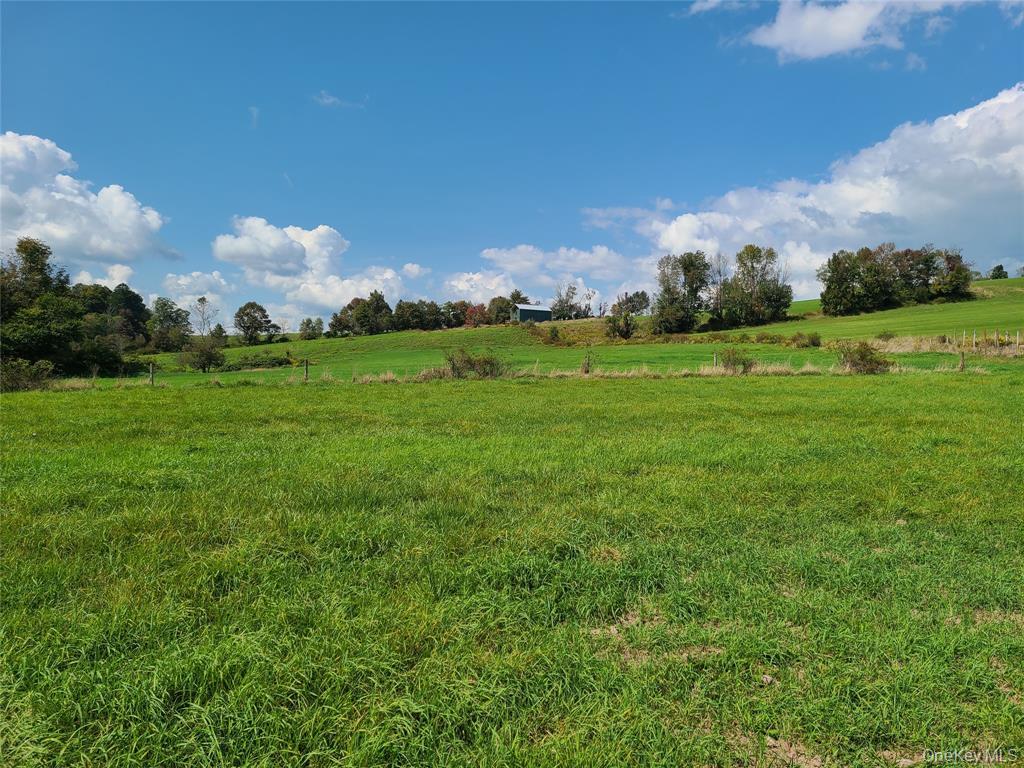 Lot 3 Long Farm Way, Callicoon, NY 12723