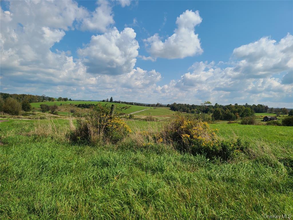 Lot 3 Long Farm Way, Callicoon, NY 12723