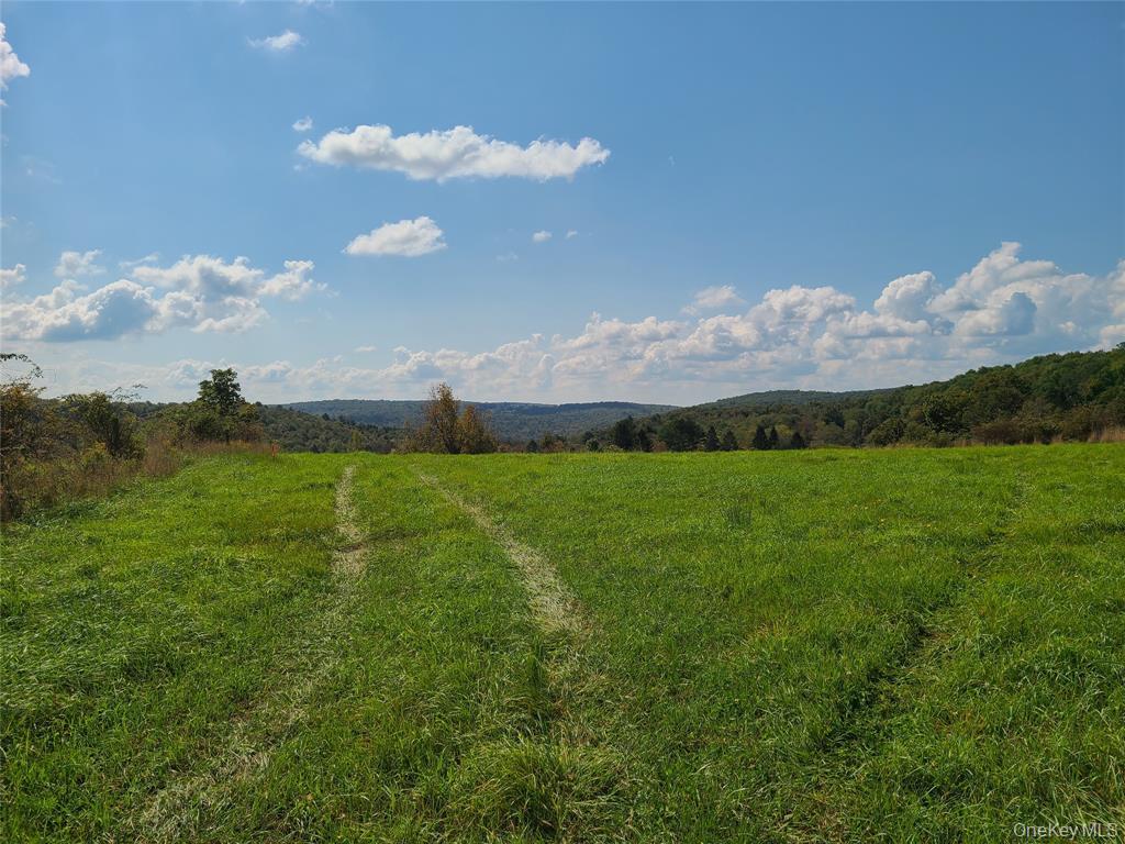 Lot 3 Long Farm Way, Callicoon, NY 12723