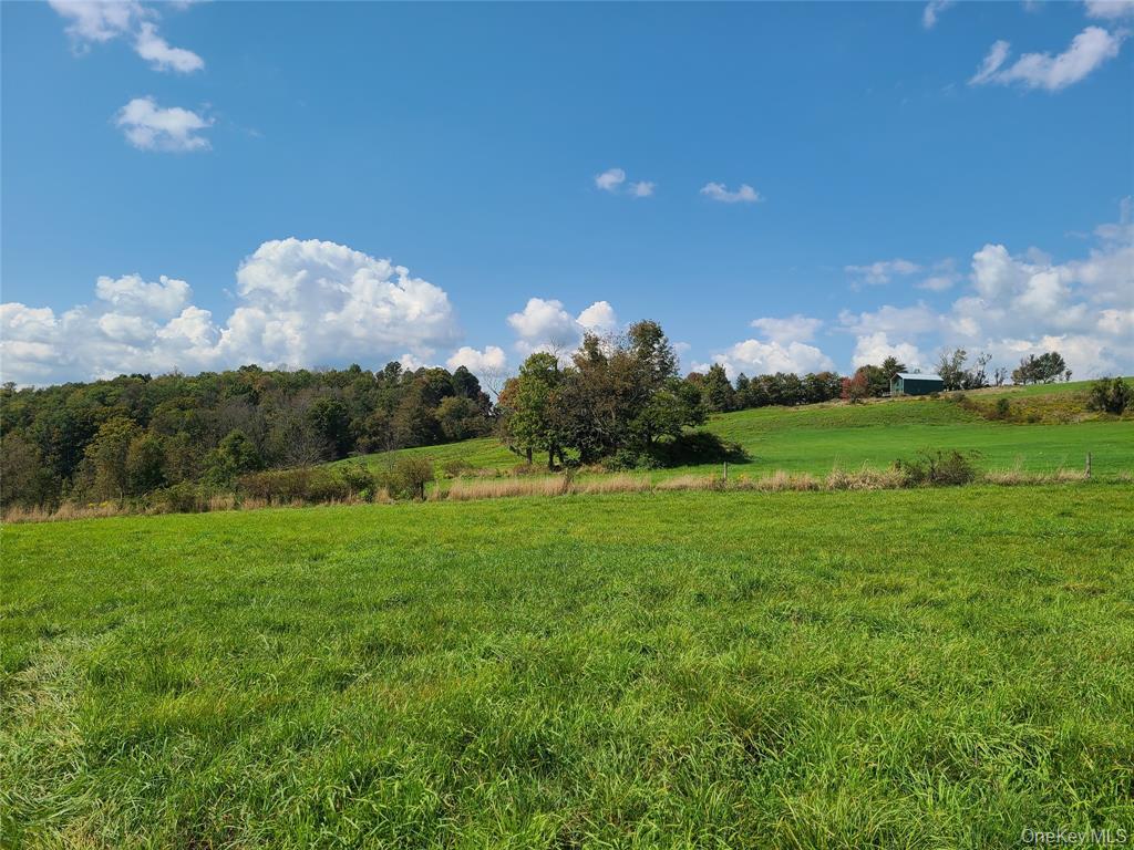 Lot 3 Long Farm Way, Callicoon, NY 12723