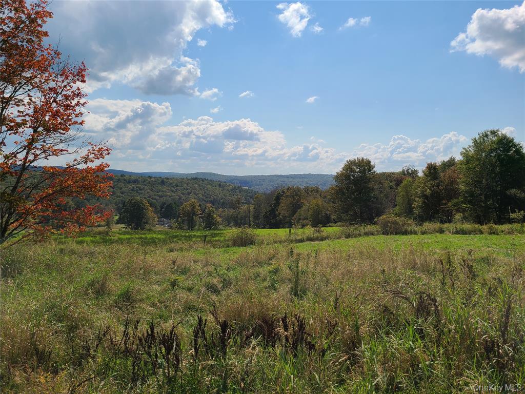 Lot 3 Long Farm Way, Callicoon, NY 12723