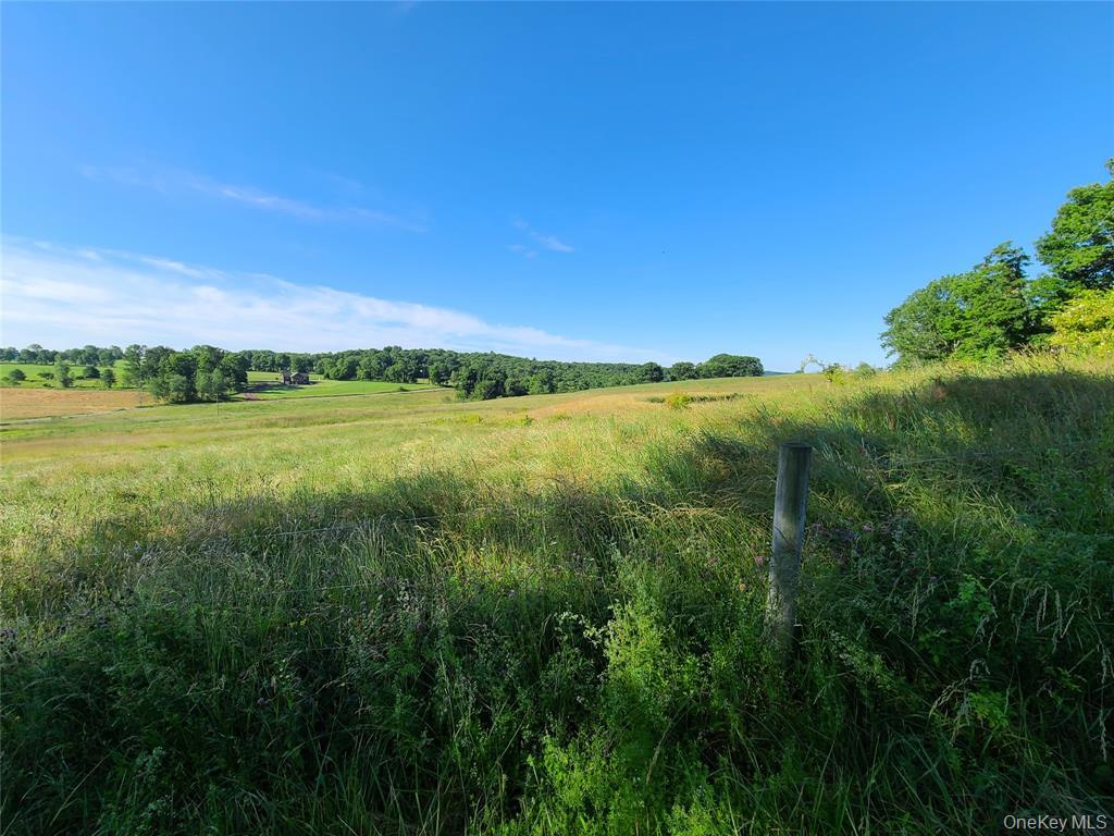 Lot 3 Long Farm Way, Callicoon, NY 12723