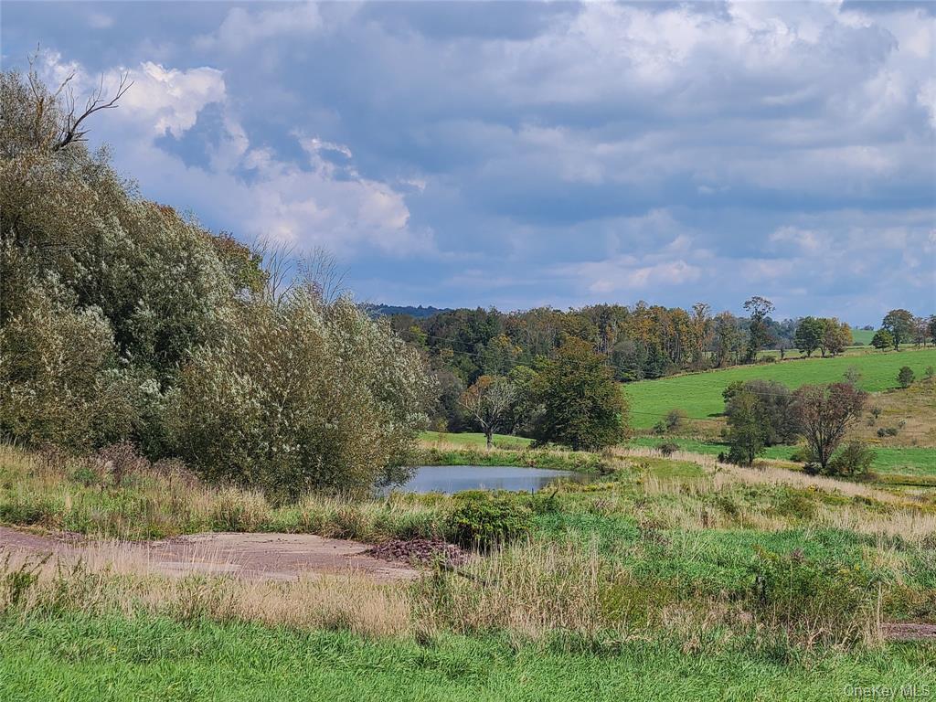 Lot 3 Long Farm Way, Callicoon, NY 12723