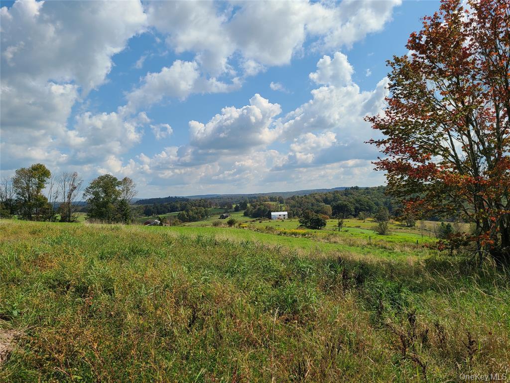 Lot 3 Long Farm Way, Callicoon, NY 12723