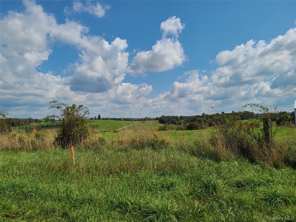 Lot 3 Long Farm Way, Callicoon, NY 12723