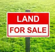 Park Avenue, Port Jefferson Station, NY 11777