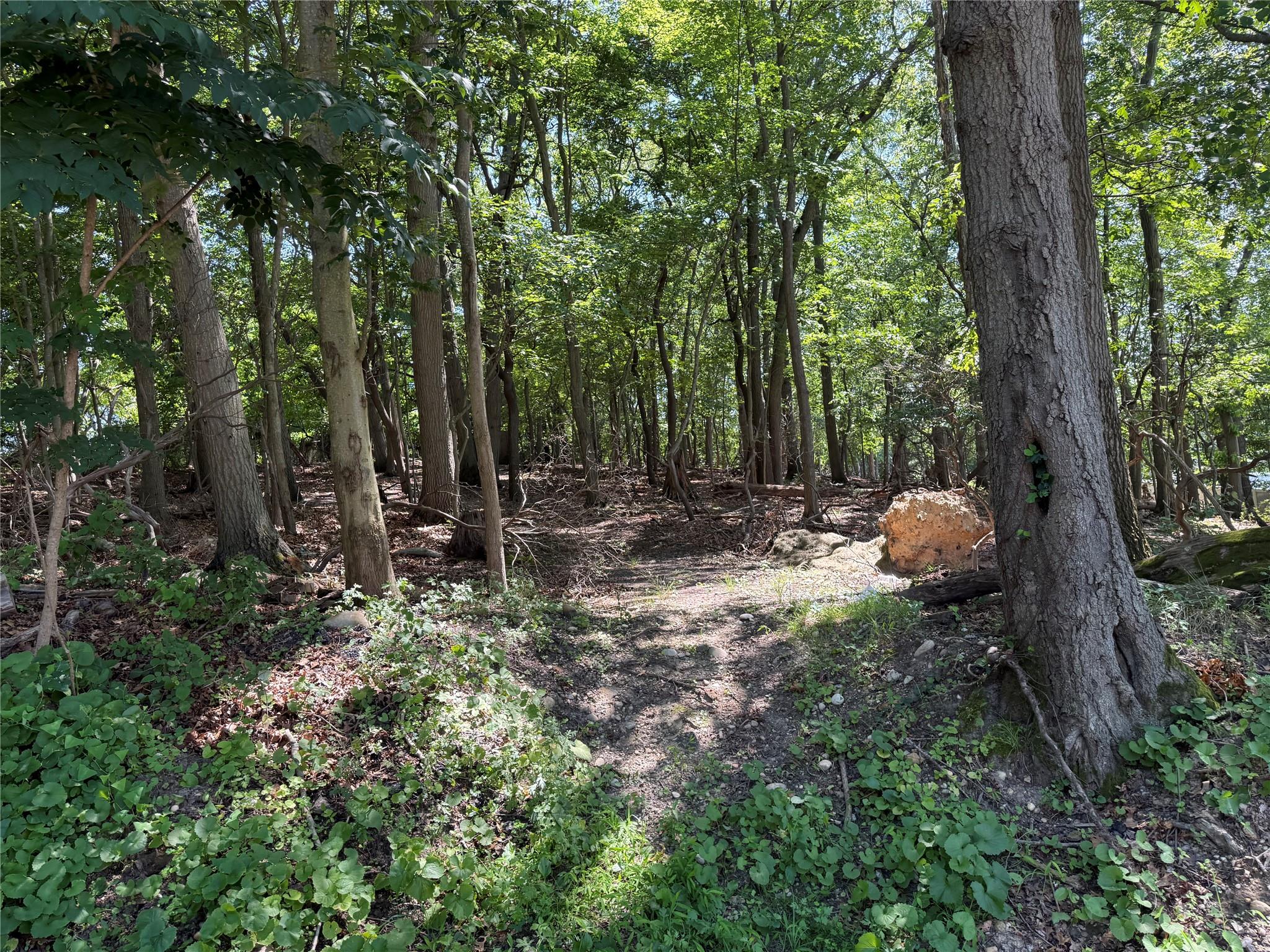 Harborview Avenue, Port Jefferson Station, NY 11777