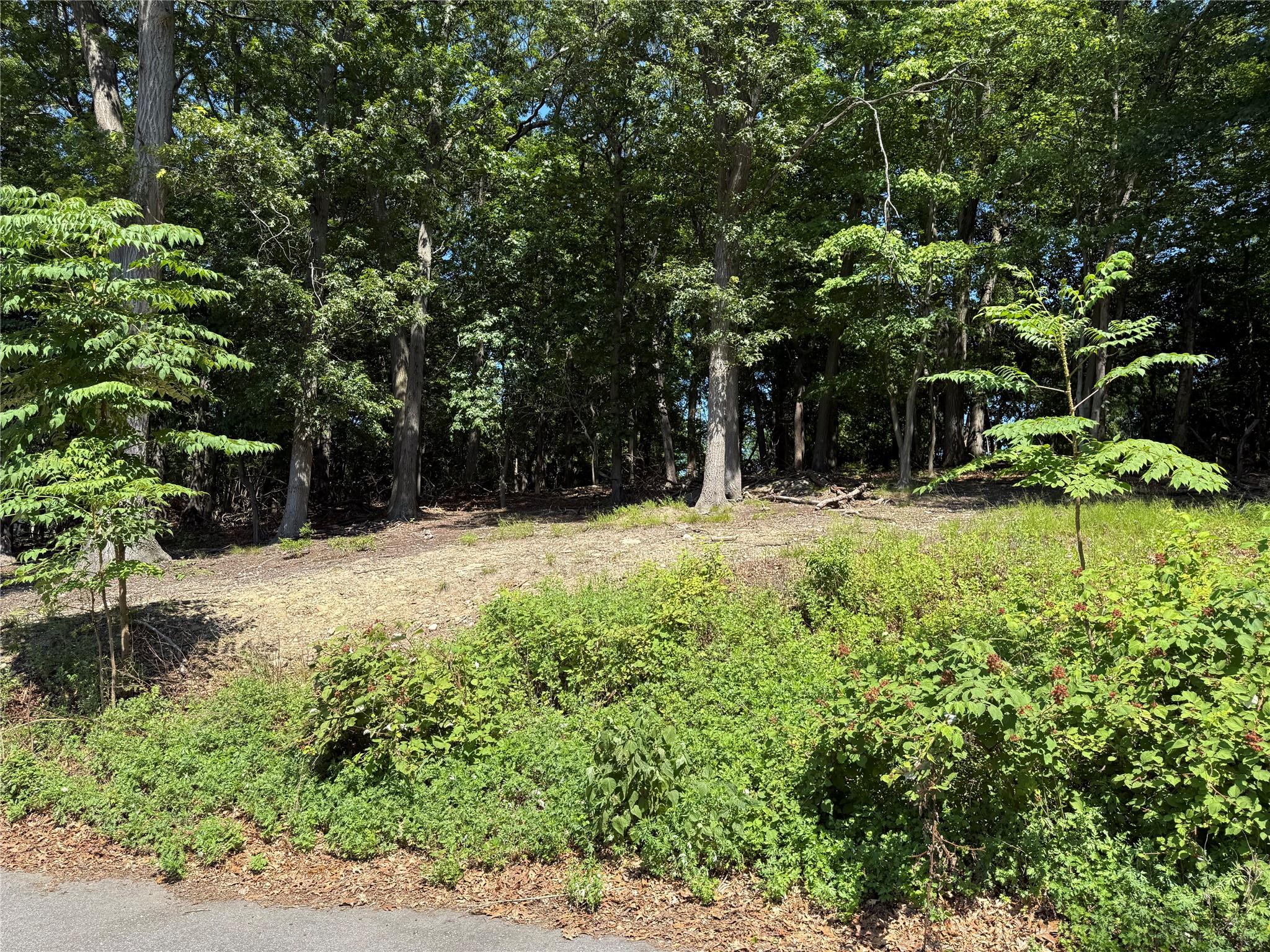 Samantha Lane, Port Jefferson Station, NY 11777