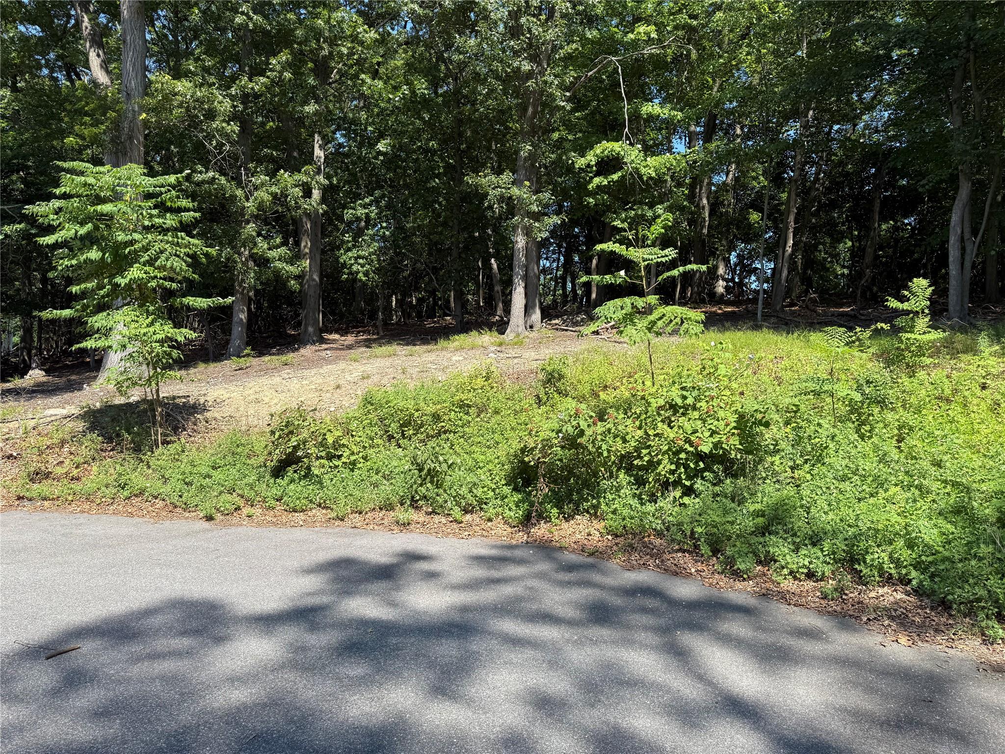 Samantha Lane, Port Jefferson Station, NY 11777