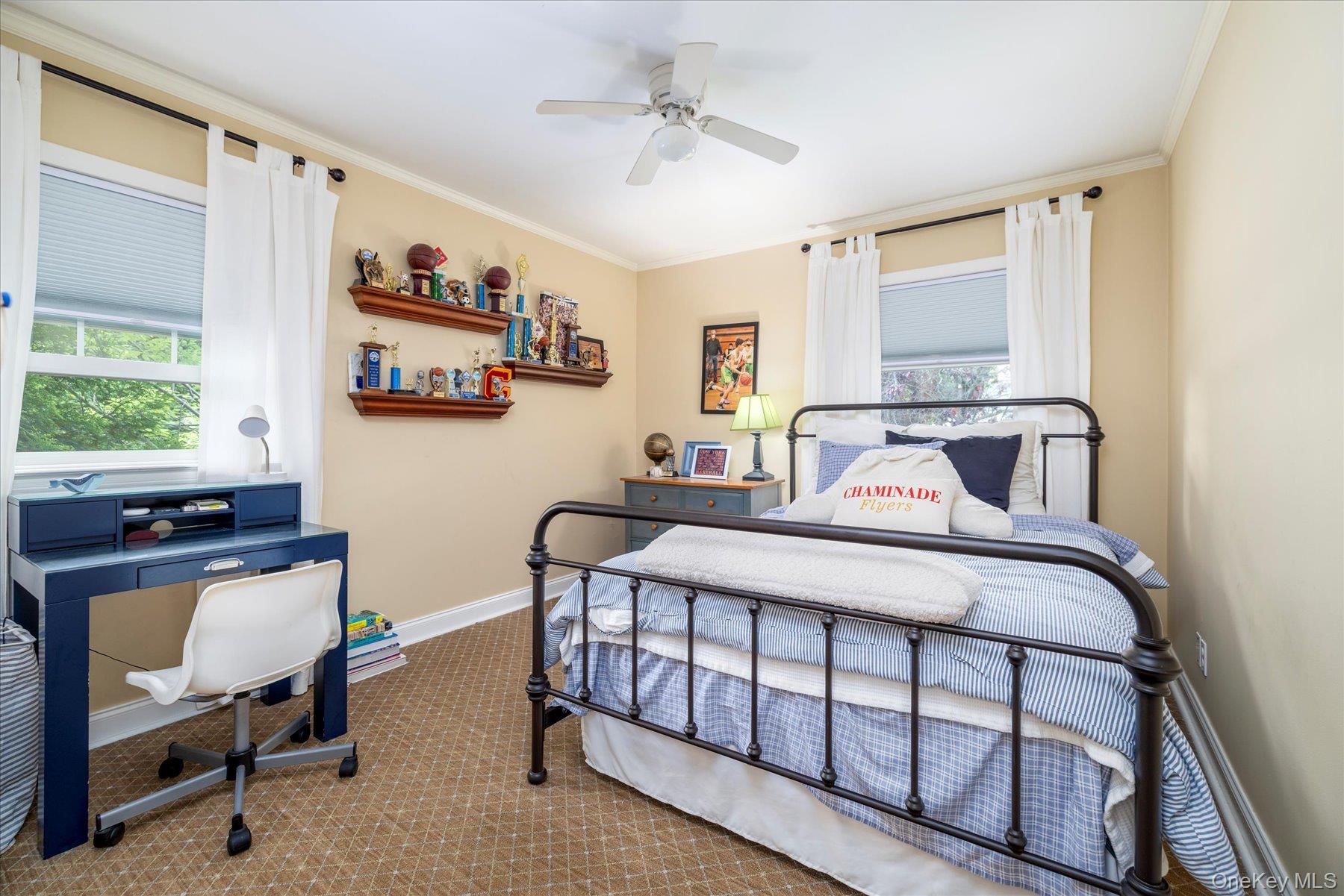 6 Blenheim Court, Rockville Centre, NY 11570