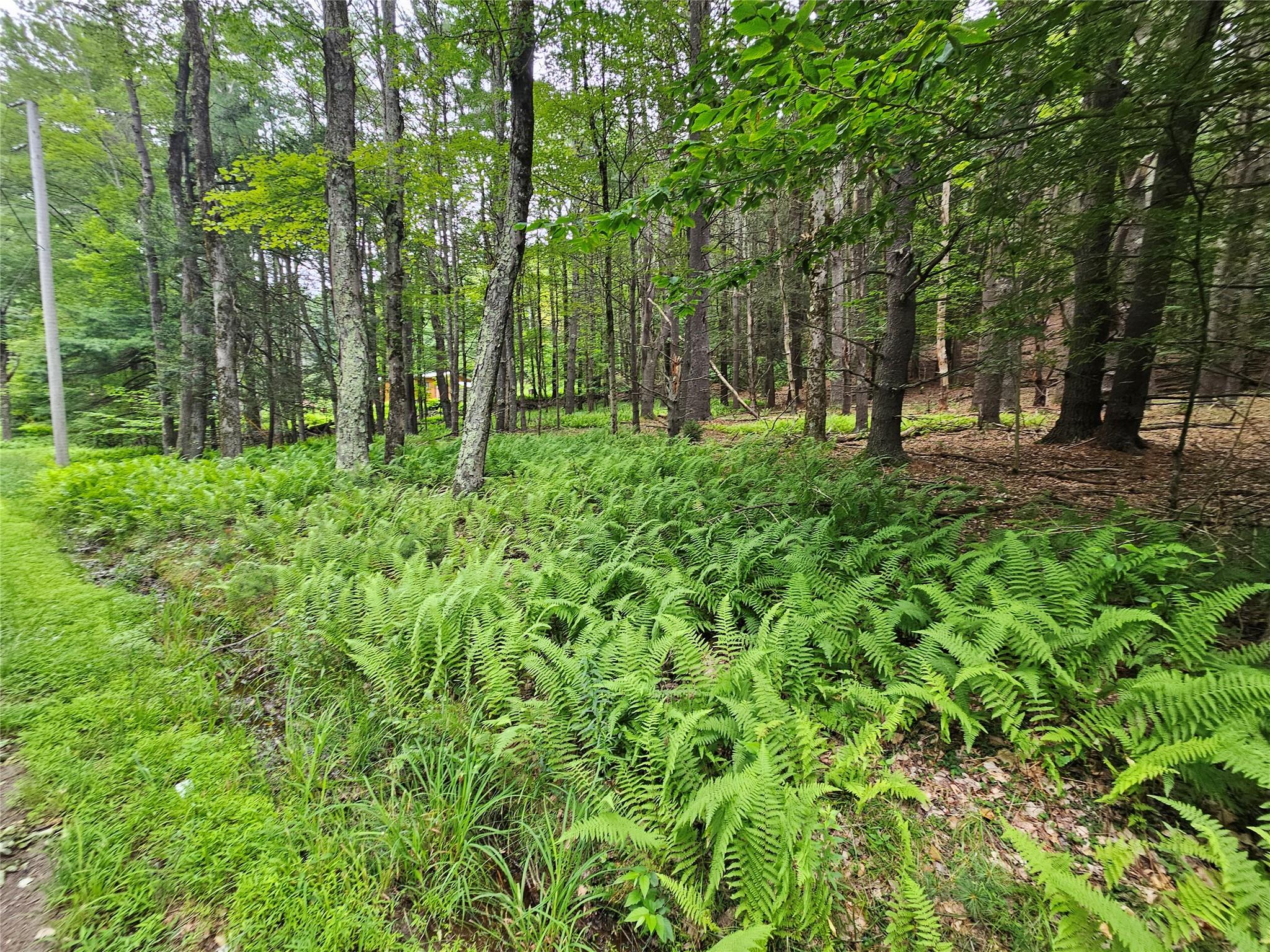 Hurd and Parks Road, Kauneonga Lake, NY