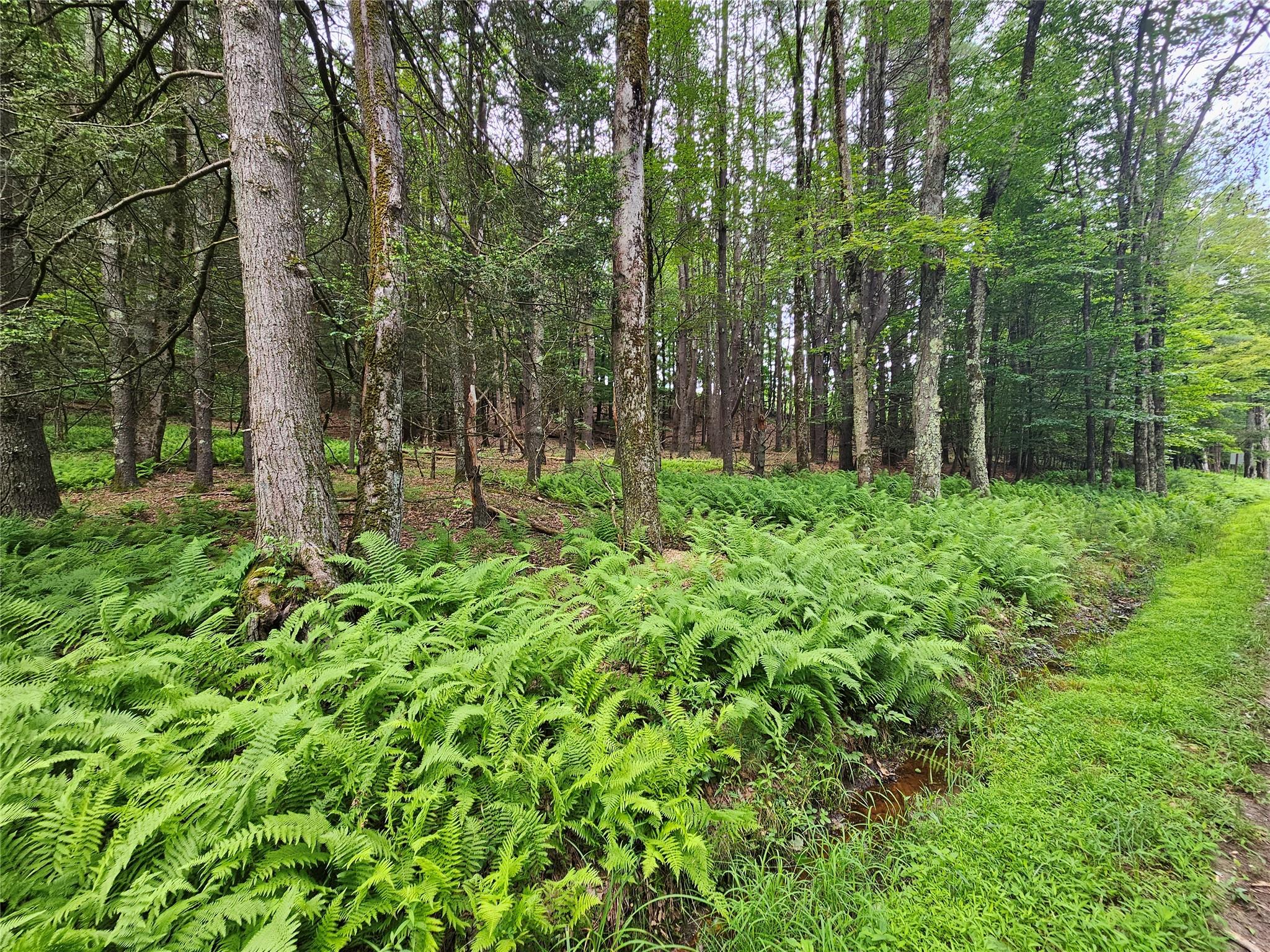 Hurd and Parks Road, Kauneonga Lake, NY