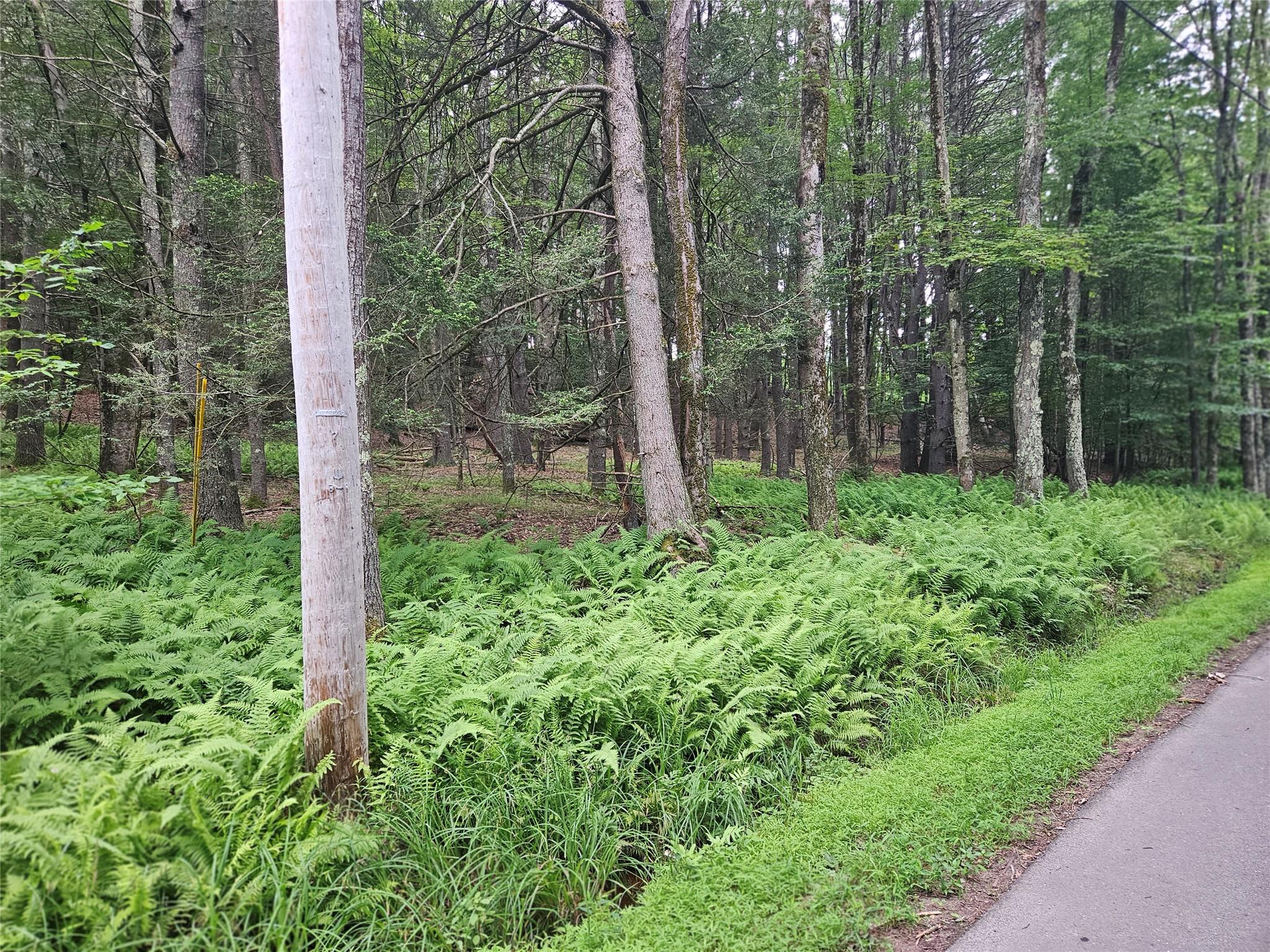 Hurd and Parks Road, Kauneonga Lake, NY