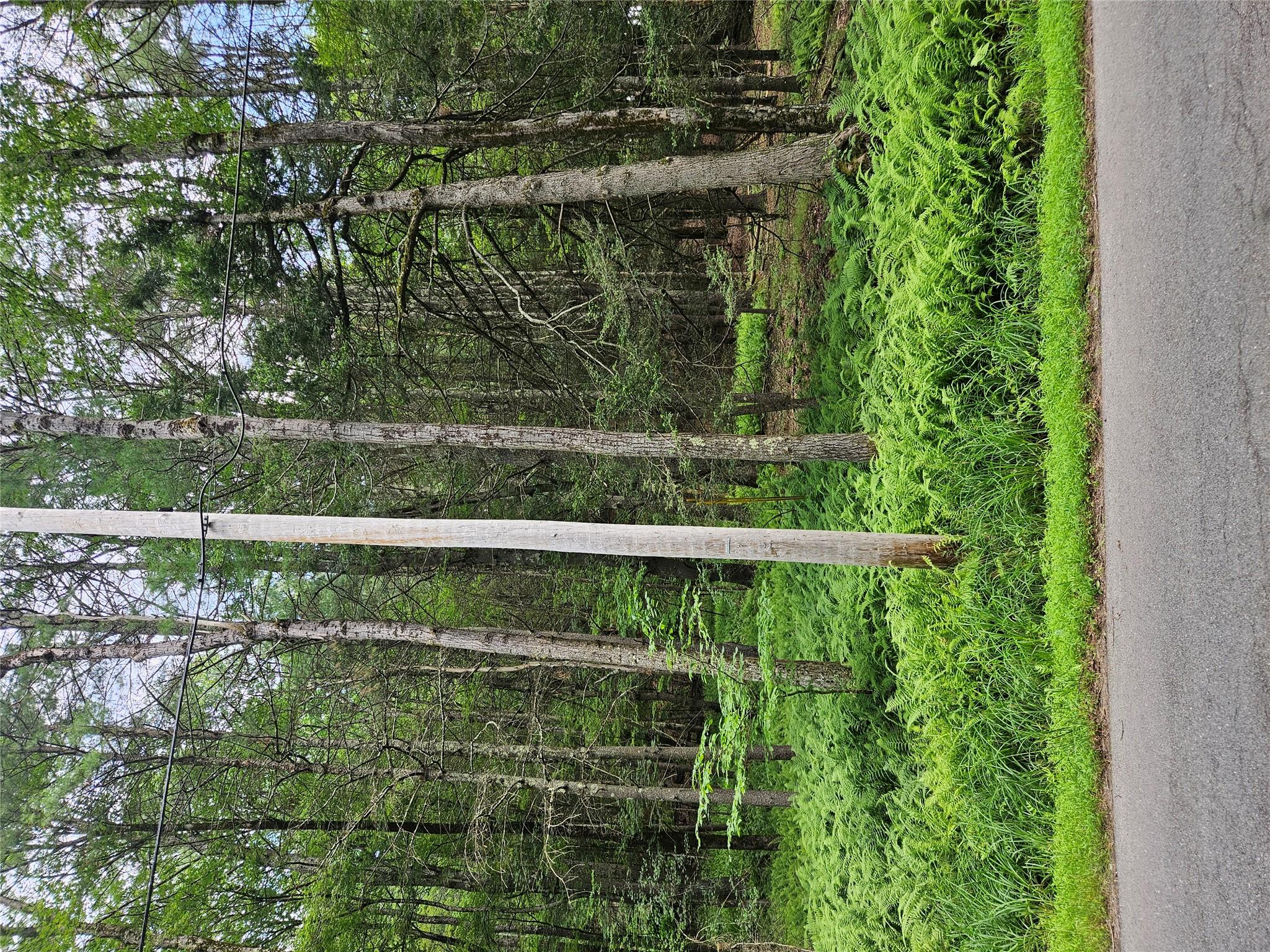 Hurd and Parks Road, Kauneonga Lake, NY