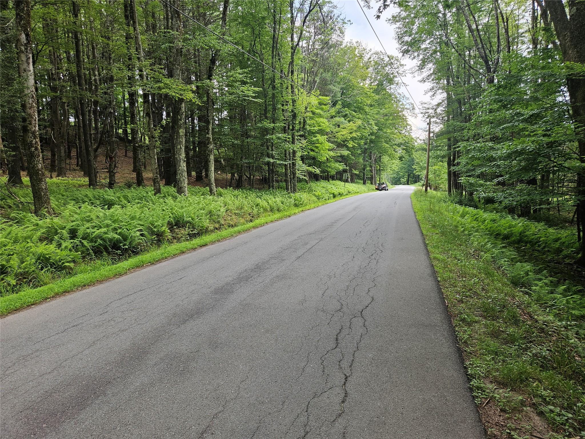 Hurd and Parks Road, Kauneonga Lake, NY